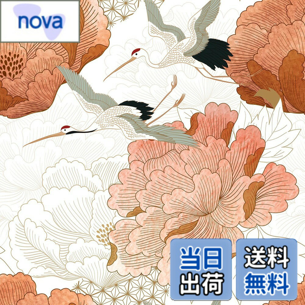 ������̵����VEELIKE ���� �ɻ楷���� ������ 44.5cmx3m ���� ���� ��Ȳ�ð���� ��ᥤ�������� ���åƥ��󥰥����� ��ե����� ����ƥꥢ ...