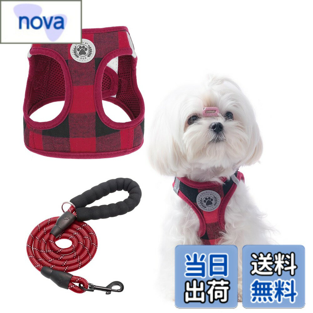 ������̵����BEAUTYZOO ���ѥϡ��ͥ� �꡼�ɥ��å� ������ �淿�� �緿���б� ����ĥ���ɻ� Ĵ���ǽ �̵�����å��� ���� ȿ�ͺ��դ� ��ñ��æ ȴ��...