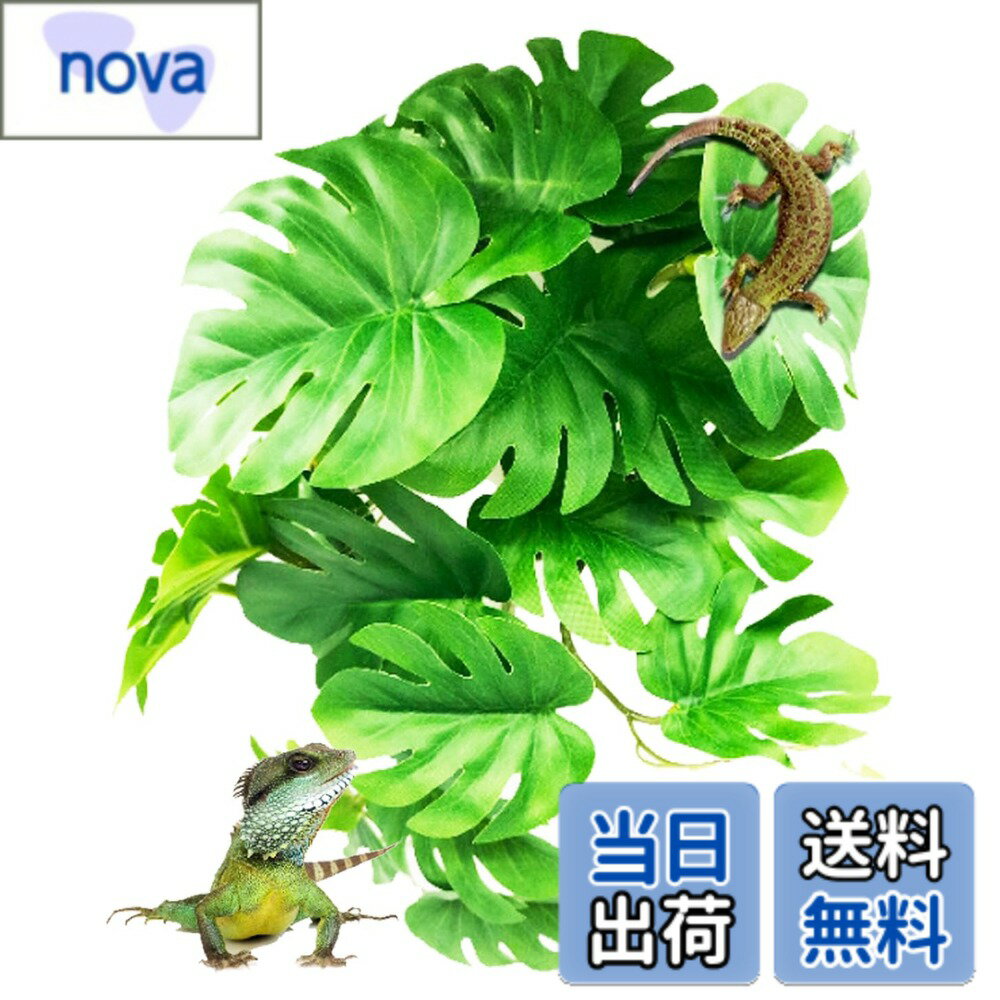 【送料無料】S.fields.inc 人工植物 爬虫類ケージ用 ビバリウム 水槽 葉 両生類 カメ カエル 吸盤付き ペット用品 色：モンステラ、サイズ：25x25x5cm