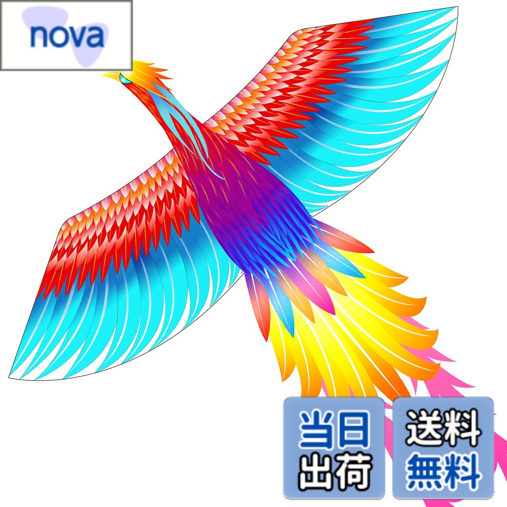 ������̵���ۥ����� �� ���Ȥ� Ļ���� ������� �Ҷ� ��� �鿴�� �������� �����쥤��ܡ��ե��˥å�����������������󥵥���