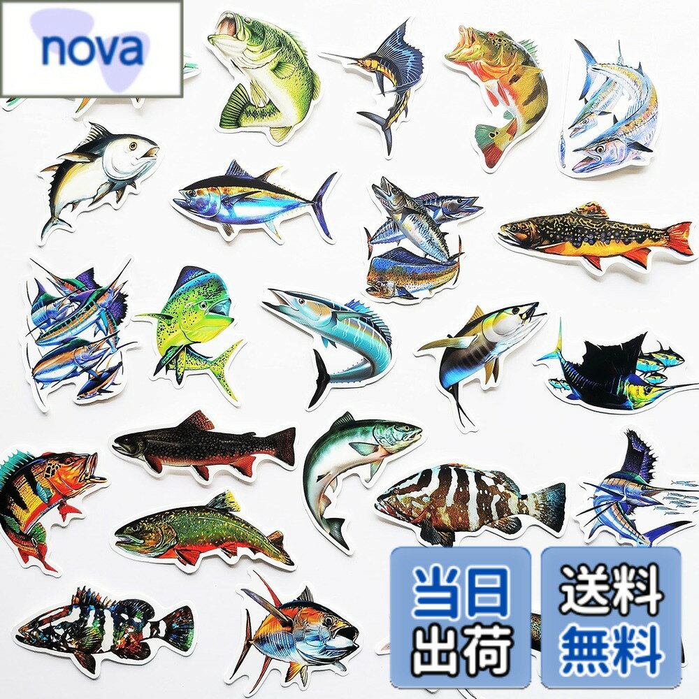 【送料無料】50枚 魚釣りステッカー 海釣りデカール キャンプ アウトドア 山登り 魚シール 色：魚