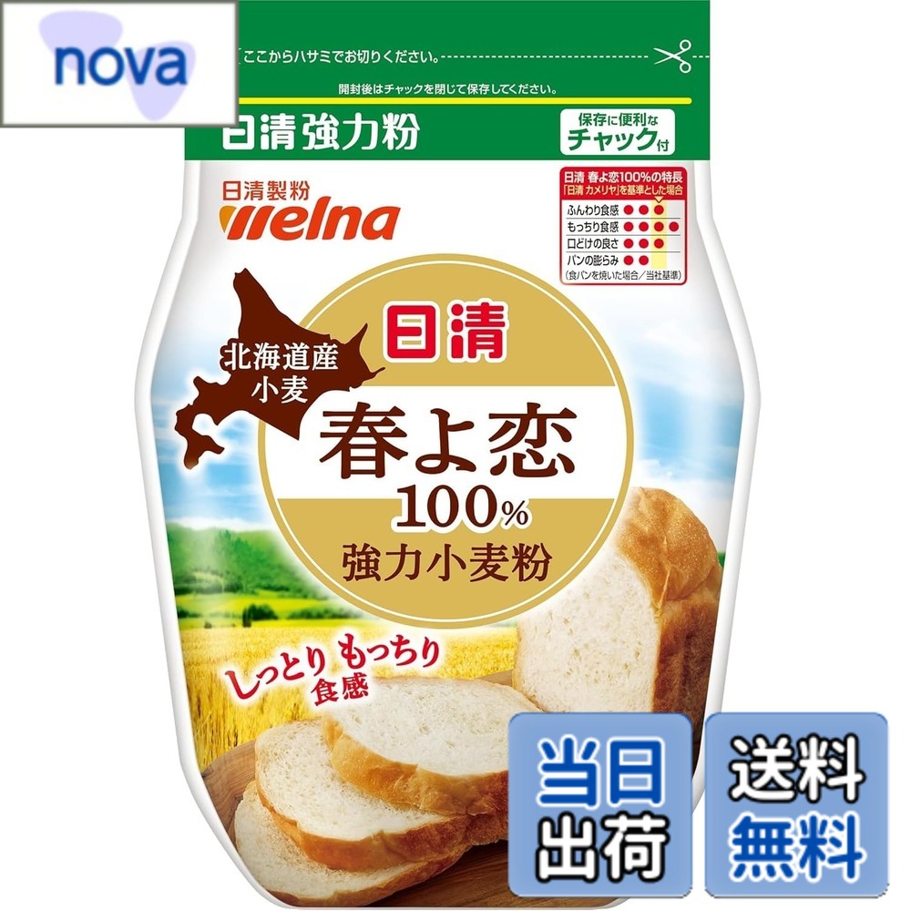 【送料無料】日清 強力粉