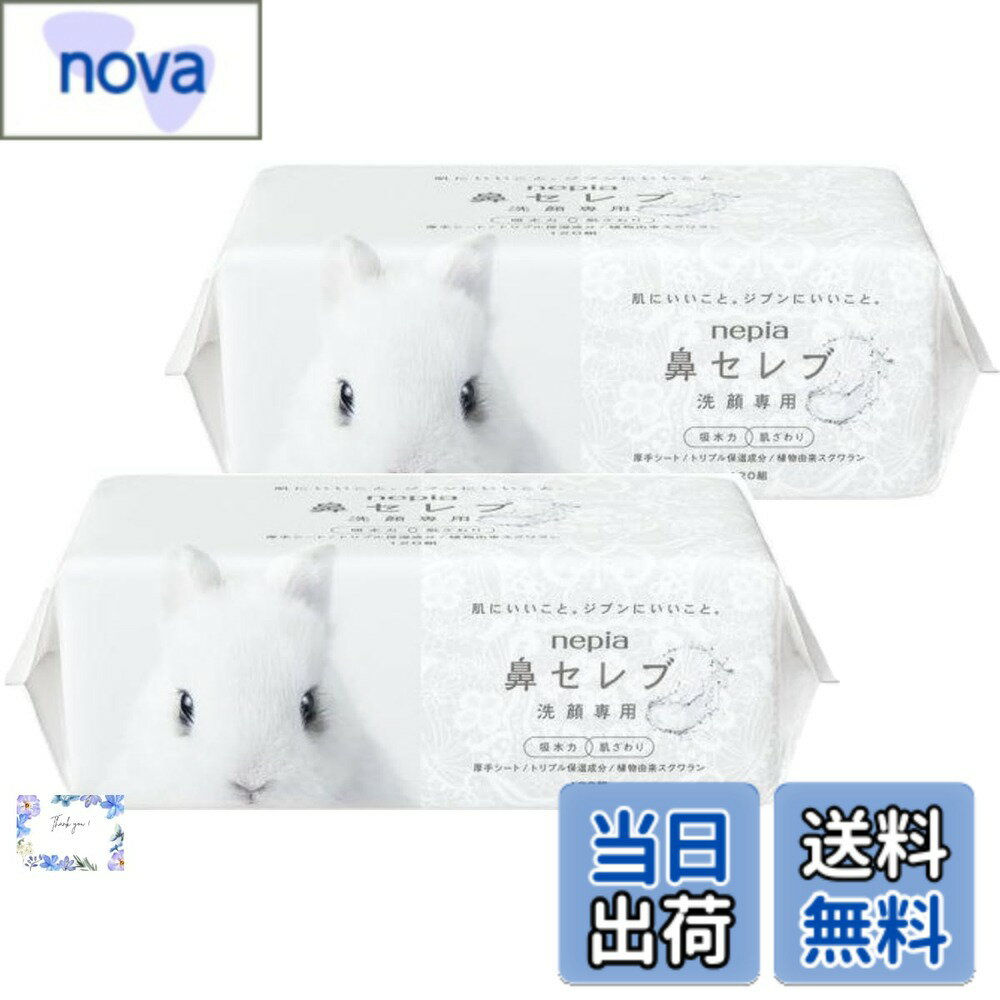 ������̵���ۡڤޤȤ��㤤�ۥͥԥ� ɡ����� �������ѥե�������륿���� ���ꥷ���� 2�ĥ��å�240��(120��)