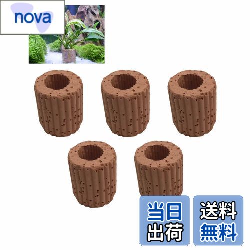 【送料無料】ALLVD 水生植物固定リング5個セット水草固定リング水槽植物ステントろ過材底砂溶岩石水草固定ほとんどの水草固定水族館水槽装飾品（内径寸法1.2 cm）に適合