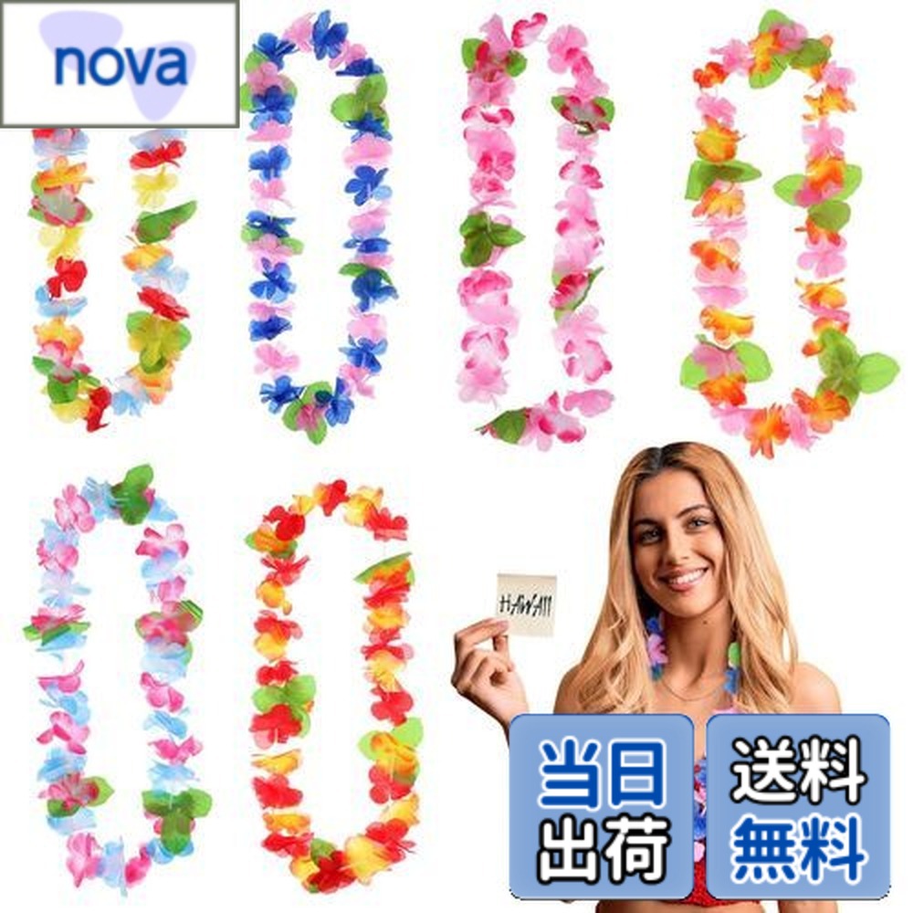 ������̵����LIOOBO �ϥ磻����쥤 �ϥ磻 �쥤 6�� �ե���� �쥤 �ϥ磻���� ���� �ϥ��ӥ����� �쥤 ����