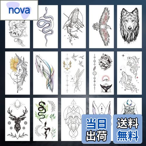 ̵VIWIEU 15祿ȥ ꥢưʪ ǥѡʥեܥǥǥ졼£ʪꥹޥۥǡ ...