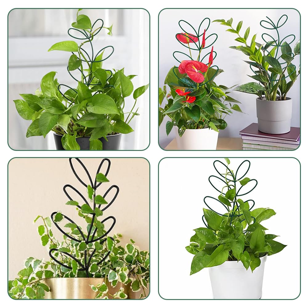 ������̵����YUWENW ��ݻ��� ��ʪ���� 1���å� �֤����� �ֻ٤� ��ʪ���ݡ��� ���տ�ʪ ��Ĺ���ݡ��� ��ʪ�ݤ��ɻ� ���Ĵ����ǽ �����Ѳ�ǽ ��ʪ���� ��ʪ��Ĺ Ͷ�����ݡ��� �Ĥ�����ʪ�� �����ǥ˥� �� ����� �ֻ��� �ߺ��� ������