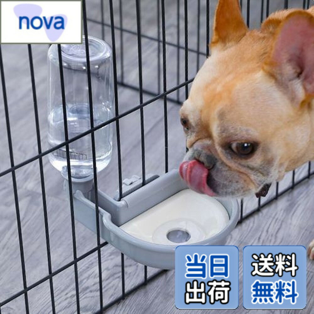 ������̵����Refoiner �� ����ߴ� ���� ǭ ����ߴ�ڥåȼ�ư���� �� ���ܥȥ� ���Τߤ��Τߴ盧�ܤ�ʤ� �������Ѹ��ѿ����졦�����������ܥȥ�...