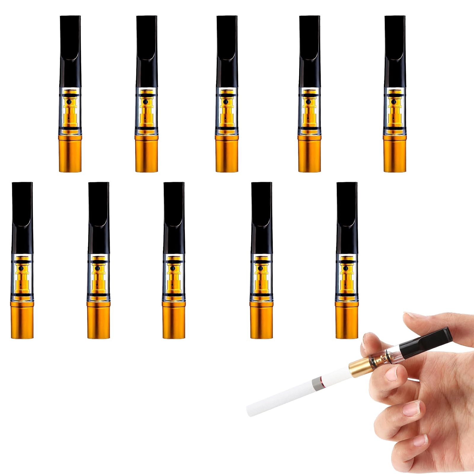 ������̵����TerraShine �ʱ�ե��륿�� 10������ �����Ѳ�ǽ ���Х��ե��륿�� �ʱ쥢�������꡼ ��������� ���Х����� �����Ƚ����Τ������