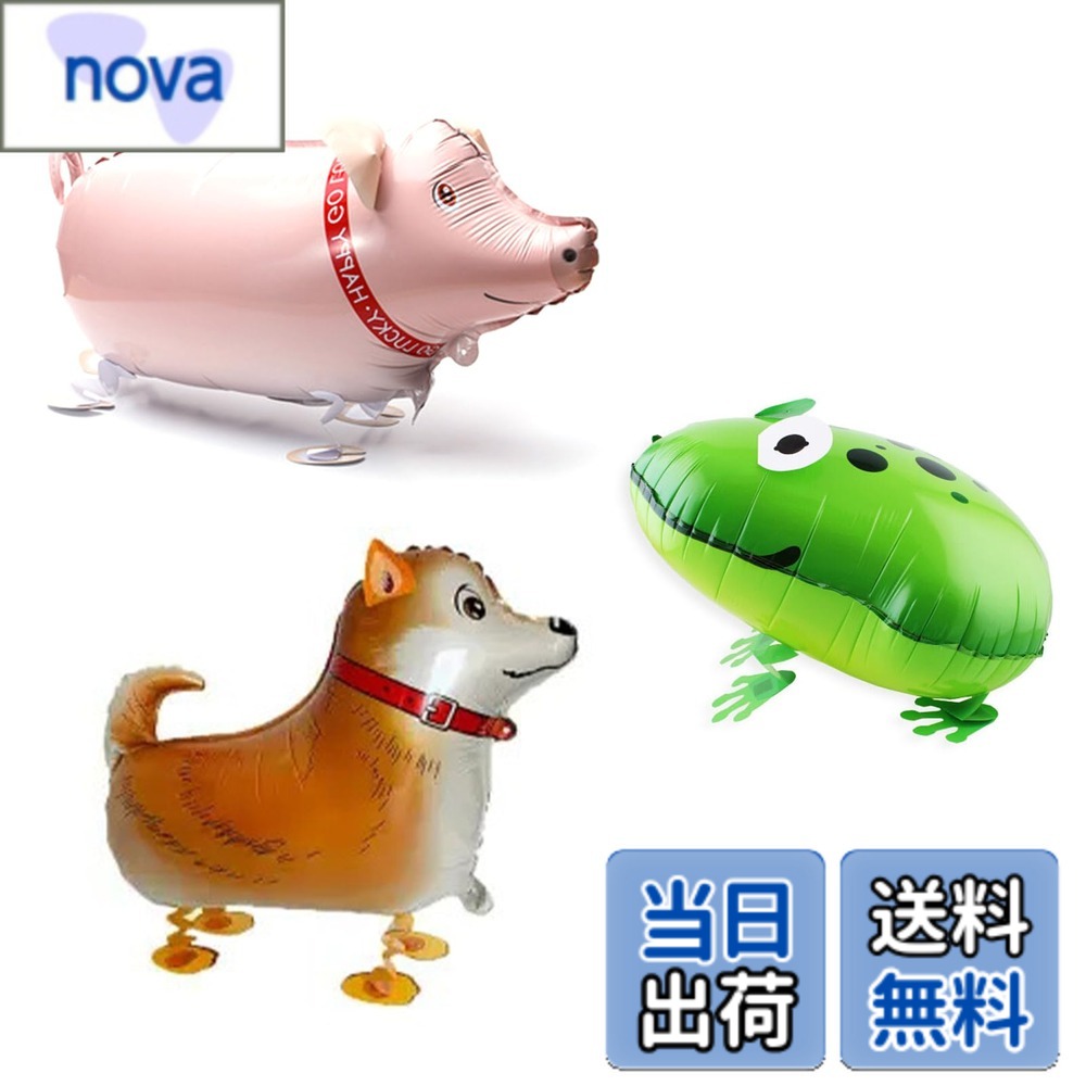 ������̵����TVETE������Х롼�� ưʪ���� �Ҥ���դ���3�����۸��������롢�� �դ����� �إꥦ�६��̵�� �ѡ��ƥ������� �ץ쥼���