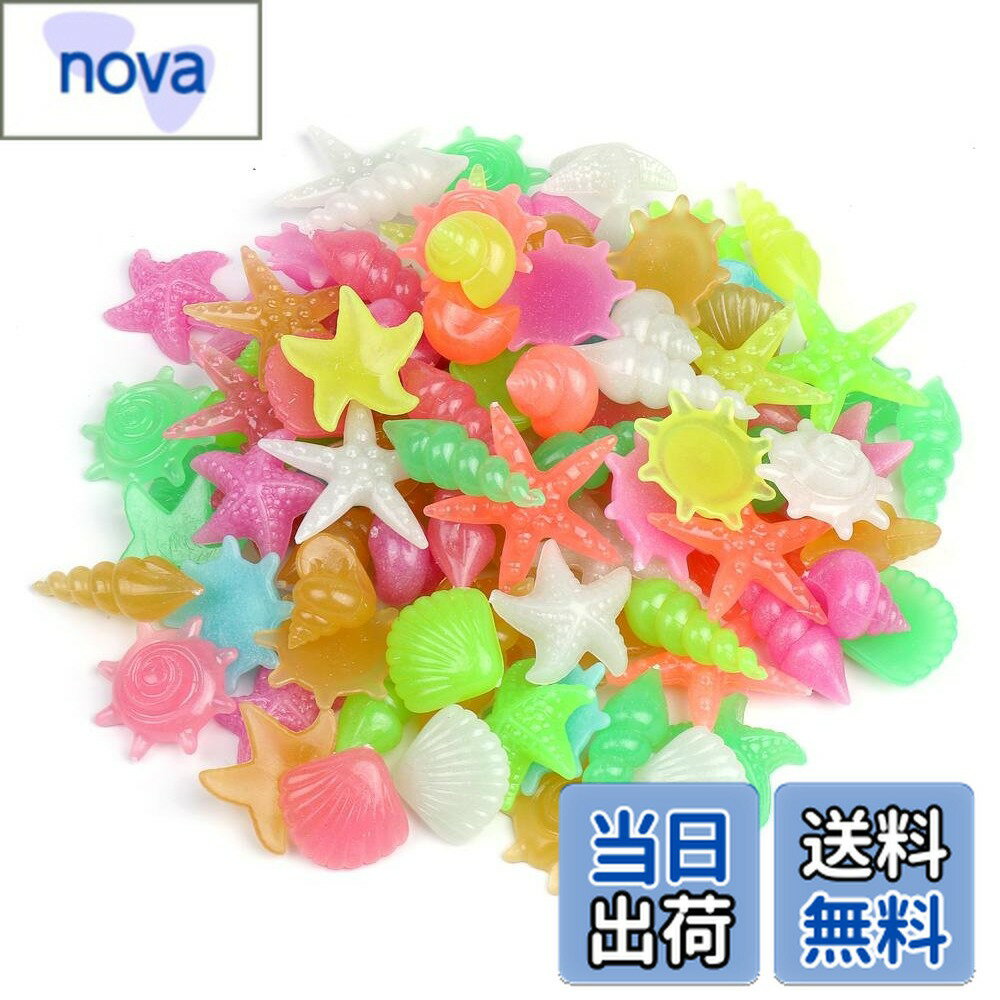 ������̵����Elizabeth �ŰǤ� ������ ����� ����ե� �ҥȥ� ���� ���� 100�ĥ��å� �������ꥦ�� ���� ����ƥꥢ