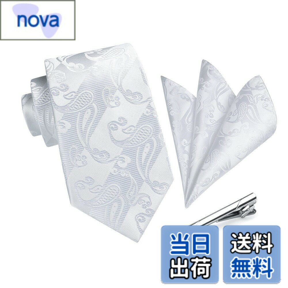 【送料無料】[HISDERN] ペイズリー ネクタイ シルバー 結婚式 メンズ ねくたい チーフ 3点セット プレゼント 高級 ボックス付き 慶事 披露宴 紳士 礼服 A3-03