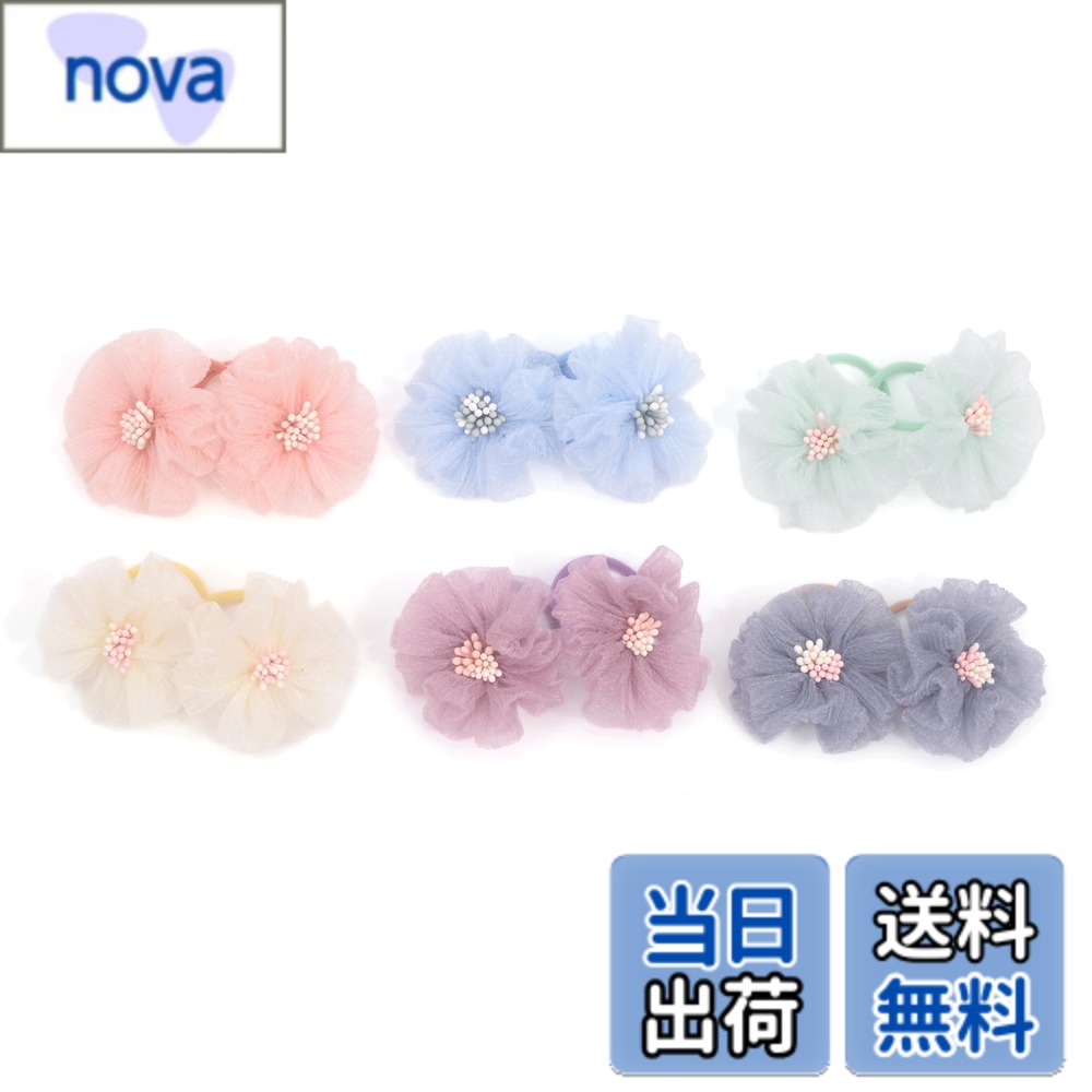 ������̵����BIANHUAN �إ����� ���� ȱ���� ������� ����ץ� ���λ� 12�ܥ��å� �ؤ����������꡼ ȱ���� ȱα�� ���ձ� ���ع� �ݰ�� �ץ쥼...