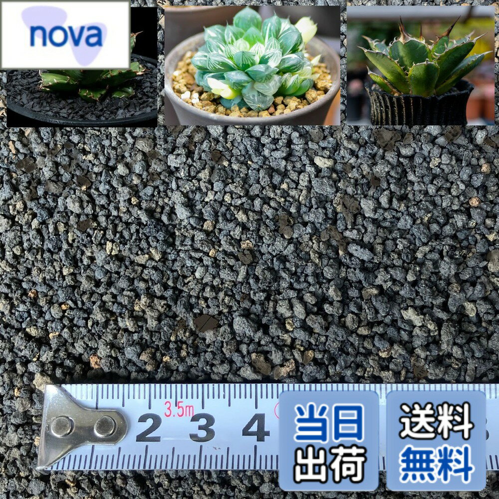 商品情報商品の説明商品の説明 すぐ使える！自然豊かな富士から採取された純粋な富士砂です。手作業でふるいにかけて微塵を抜いているので粒が揃っています。 容量：0.5L、サイズ：小粒。粒が揃っている富士砂を少量だけ欲しい方におススメ。 盆栽やサ...