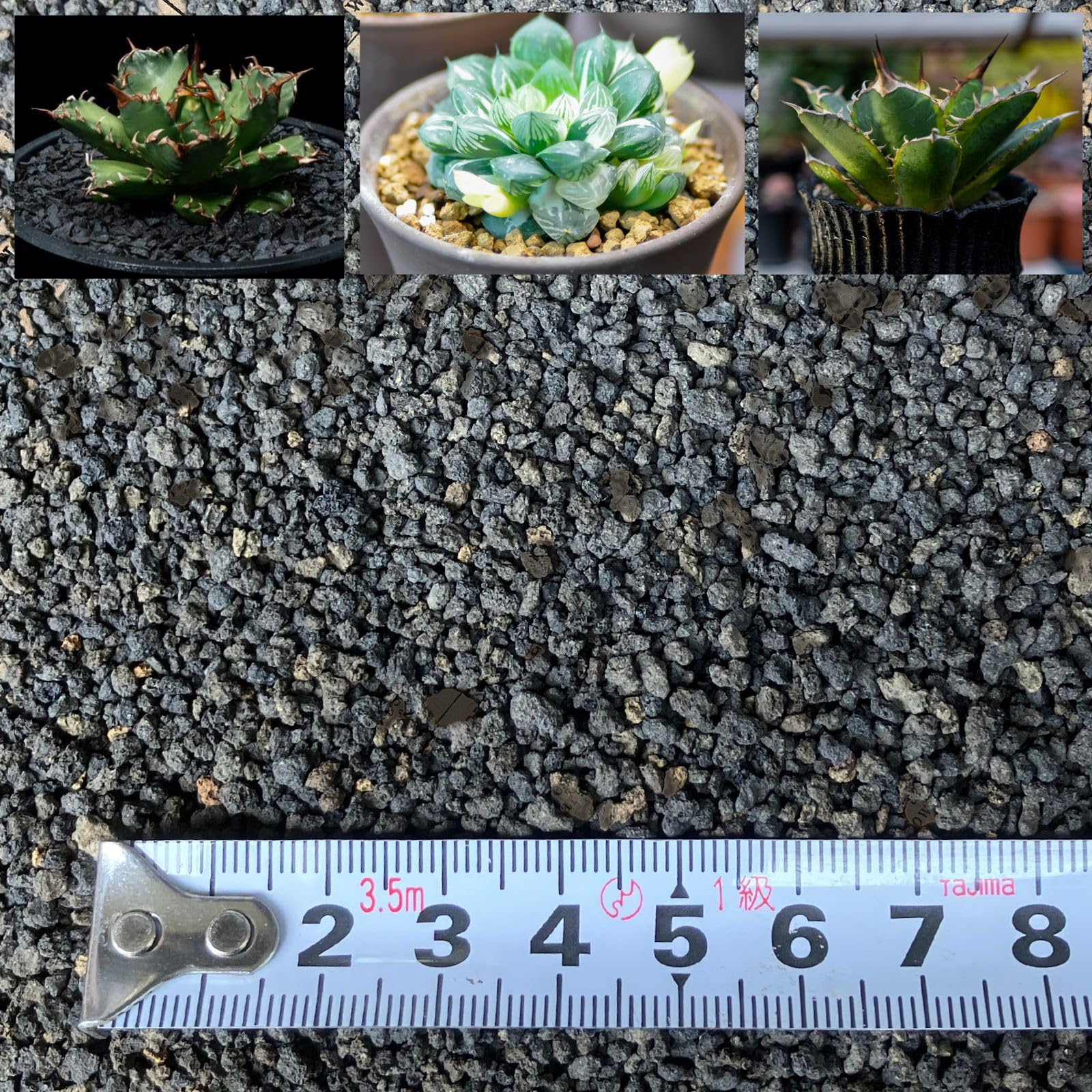 【送料無料】Leap Raupe 【ふるい済み】 富士砂 化粧石 化粧砂 黒 アガベ 土 小粒 0.5L