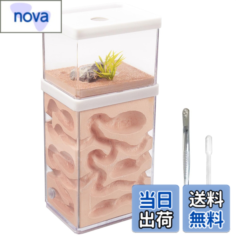 商品情報商品の説明主な仕様 【石膏蟻の巣を選ぶ理由】石膏蟻の巣は最も古いタイプの蟻の巣であり、その開発は比較的成熟している。 石膏蟻の巣は吸水性と保水性に優れ、十分な培地と空気湿度を供給でき、蟻にとって快適な土壌環境に近い。また、石膏の表面は粗いため、土の培地を必要とし、壁を登る能力が低いアリに適している。【アリの観察に便利なPC透明シェル】アリの巣は透明なデザインで、アリの観察や餌やりがはっきりできます。 アリがトンネルを作ったり、家を建てたりする日常生活を観察することができ、また、餌を集めるアリや掘るアリなど、様々な種類のアリを見ることができます。【科学教育機能】このアリ飼育箱は子供にとって最高の知育玩具です。 子供たちの科学への興味を育み、アリを理解させ、生物学的知識を学ばせ、知育に役立ちます。 また、昆虫愛好家のための理想的な贈り物です。【二層式多機能設計】アリの巣は給水口、流出口、延長口がある着脱式二層式設計を採用し、給水や掃除に便利で、延長口を通して他のアリの巣と連結し、飼育範囲を広げることもできます。【注意】1、本製品は蟻の巣を含むだけで、蟻などの付属品は含まない。2、給餌の経験が必要で、初心者の給餌は簡単に蟻の死につながるかもしれない。3、製品のカビと露の問題について、この状況を完全に避けることができない、石膏の巣の水分の蒸発が難しい、環境の湿度が高すぎる場合、製品のカビと露の状況につながる可能性があります、この問題の解決策も非常に簡単です、それをきれいにし、天日で乾燥させるだけで再利用することができます。