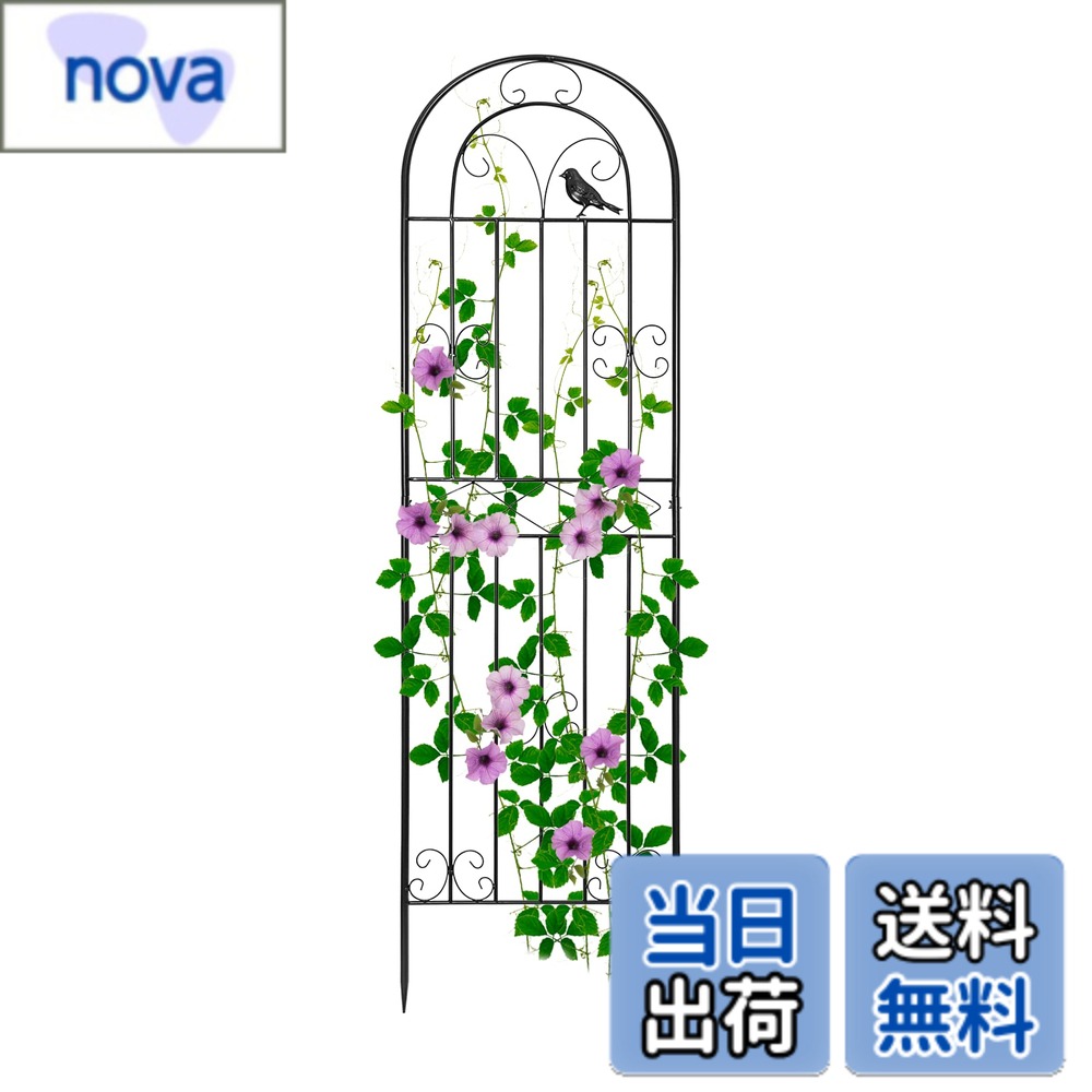 商品情報 商品の説明 主な仕様 1.籐の植物が暖かい中庭を作るためのサポートとして使用できます。(写真のクリスマス飾りは付属しておりません)br2.自由に組み合わせてお庭をカスタマイズデコレーションとして花壇の仕切りとして、玄関アプローチの飾りとして、使い方は色々です。底のひし形のデザインは、土に挿入するのも簡単で、小さな犬が庭に土を掘るのを防ぐことができます。br3.?高品質?で作られ、錆びにくく、耐久性があります。しっかりと安定した、素晴らしい仕上がりです。 ネジなど面倒な工具が不要で。br4.庭の植物や花を保護します。庭、トレイル、景観の境界線を定義して保護します。br5.花を育てるのが好きな人は皆、人生が大好きです。私もです。 # 【送料無料】Rxakudedo アイアンフェンス 園芸 フェンス ガーデンフェンス ハイタイプ 高さ180cm ローズフェンス 蔓性植物用支柱 フェンス 庭に植物を育てたいけれど、どうしても支えが必要だったり、デザインにこだわりたいと思ったことはありませんか？そんなお悩みを解消するのが、Rxakudedoのアイアンフェンスです。このフェンスは、ただの支柱としてだけでなく、庭全体を美しく飾るためのデザイン性も兼ね備えています。高低差や形状を設けて、より良い景観を演出することができます。あなたの庭も、心地よい空間に変わるかもしれません。 このアイアンフェンスは、強度と耐久性に優れており、見た目にもおしゃれです。設置が簡単で、どんな庭にもマッチするデザインが特徴です。特に、蔓性植物の支柱として最適で、花や緑を美しく見せます。これによって、あなたのガーデニングがもっと楽しくなるでしょう。 手間が少なく、生活に安心感を与えるこのアイアンフェンスは、あなたのガーデンライフを豊かにする一品です。私たちの製品で、あなたの庭を理想の姿に変えてみませんか？ ## アイアンフェンスの特徴と魅力 Rxakudedo アイアンフェンスの最大の特徴は、180cmの高めの設計です。この高さは、蔓性の植物や茂みがしっかり支えられるため、特に効果的です。経年劣化にも強く、長期間にわたって使用できるため、お金の無駄もありません。耐久性や防錆性にも優れており、手入れも簡単です。汚れがついたら、さっと拭くだけでOKです。 また、デザイン性も秀逸です。シンプルながらもエレガントな印象を持ち、多くの飾り物とも相性が良いです。庭のアクセントとして使うことで、視覚的に楽しむことができます。特に、花壇やアプローチ、ガーデンルームの仕切りなど、さまざまなシーンで活躍します。 さらに、アイアンフェンスは風を通しやすくする仕様なので、植物に必要な日光や風が通ります。これにより、植物も生き生きと育つことができ、ガーデニングがより楽しくなるでしょう。おしゃれなだけでなく、機能性と美しさを兼ね備えたフェンスが、あなたを待っています。 このアイアンフェンスを使うことで、あなたの庭が一層魅力的に変わります。育てたい植物があれば、ぜひ一緒に考えてみてください。思い描く理想のガーデンライフが、さらに現実味を帯びてきますよ。 ## 設置方法とそのポイント Rxakudedo アイアンフェンスの設置方法は非常にシンプルです。まず、設置したい場所を決めたら、地面を少し掘って穴を開けます。このフェンスの底は、ひし形のデザインになっているので、直接土に挿入が可能です。穴を開けることで、安定性が向上し、風などによる倒壊を防ぐことができます。 次に、フェンスを設置した後は、周囲を土でしっかりと埋めます。このとき、フェンスが水平になるように確認することが大切です。水平になっていないと、見た目が悪くなるだけでなく、植物にも悪影響を及ぼすことがあります。 設置後は、必要であれば周囲にデコレーションを施すことも可能です。小さなプランターや飾りを配置することで、より個性的な庭に仕上げることができます。また、フェンスの周りには、土を盛ることで植物の根がしっかり伸びるようにすることも重要です。 この設置方法は、特別な工具を使わずに簡単にできるのが嬉しいポイントです。多忙な方でも、手軽に導入できる仕様が魅力です。自宅の庭を素敵にするために、ぜひ一度お試しいただきたいです。使い方次第で無限の可能性がありますので、ぜひご自身のアイデアを生かしてみてください。 ## 使用上の注意とお手入れ方法 Rxakudedo アイアンフェンスは耐久性が高いものの、長く美しさを保つためにはお手入れが必要です。まず、定期的に塗装剥がれや錆をチェックしましょう。特に、湿気の多い季節や雨が続く時は、注意が必要です。何か異常を感じたら、すぐに修理や手入れを行うことで、寿命を延ばすことができます。 また、植物が成長してきたら、こまめに剪定を行うことが大切です。特に、茂みやつるが絡まりやすい植物は、放置するとフェンスへのダメージも懸念されるため、注意が必要です。定期的に形を整えることで、見た目も良くなり、植物が元気に育ちます。 さらに、周囲の草や不要な植物も時折取り除いて、美しい見た目を保つことが重要です。フェンス周辺が雑草で埋もれにくいようにすることで、全体的に整った印象となります。 お手入れをする際は、必要があればペンキで塗り替えることも考えましょう。特に、色褪せてしまった場合は、ワンランク上の印象を手に入れることができます。 しっかりとお手入れを行えば、長持ちさせることができ、あなたの庭の見栄えも良くなるでしょう。手間をかけることで、きっと美しいガーデンライフを楽しむことができますよ。 ## まとめ - Rxakudedoのアイアンフェンスは、高さ180cmで安定感抜群。 - デザイン性が高く、様々なシーンで活用できる。 - 設置が簡単で、特別な道具がいらないので、初心者にも最適。 - 定期的なお手入れで、長持ちさせることができる。 - あなたのガーデンライフがより豊かになること間違いなし。 あなたの庭を彩る一品、ぜひ手に取ってみてください！