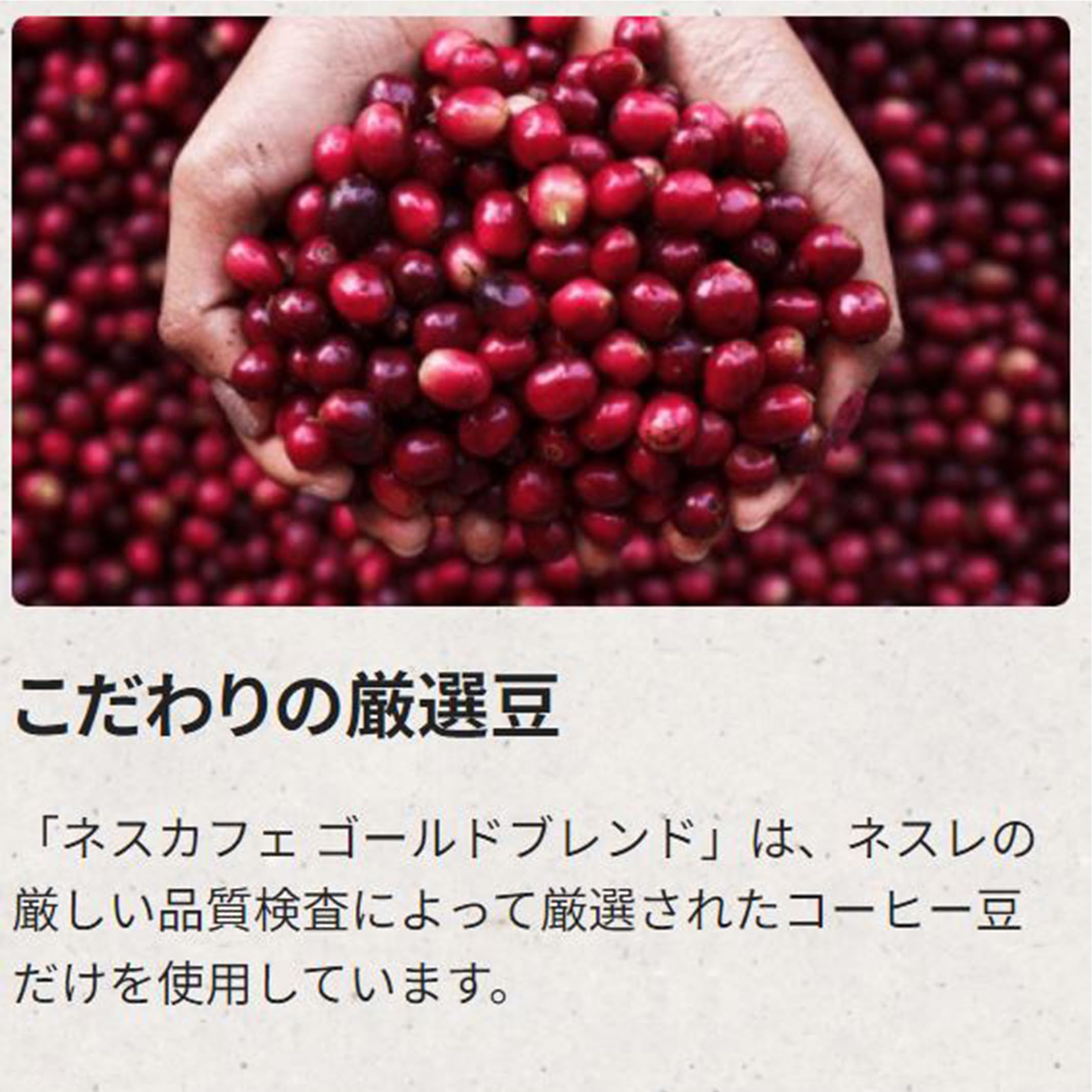 【送料無料】ネスカフェ ゴールドブレンド 50g(25杯分),袋,レギュラー ソリュブル ...