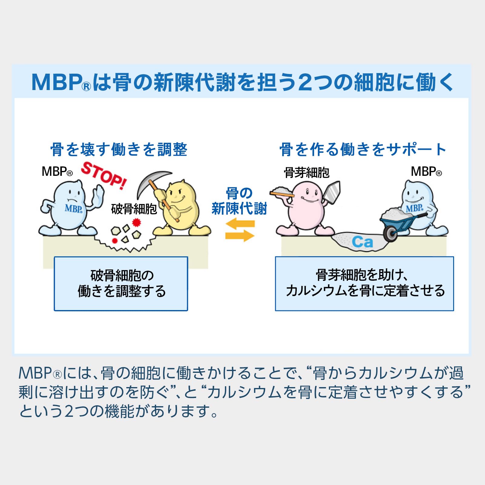 【送料無料】雪印メグミルク 毎日骨ケア MBP(R) ブルーベリー風味 (30本 / 30日分) 骨密度を高める働きのあるMBP(R) ドリンク (ペットボトルタイプ) 特定保健用食品 nova2021-10190724 nova サンプル画像3
