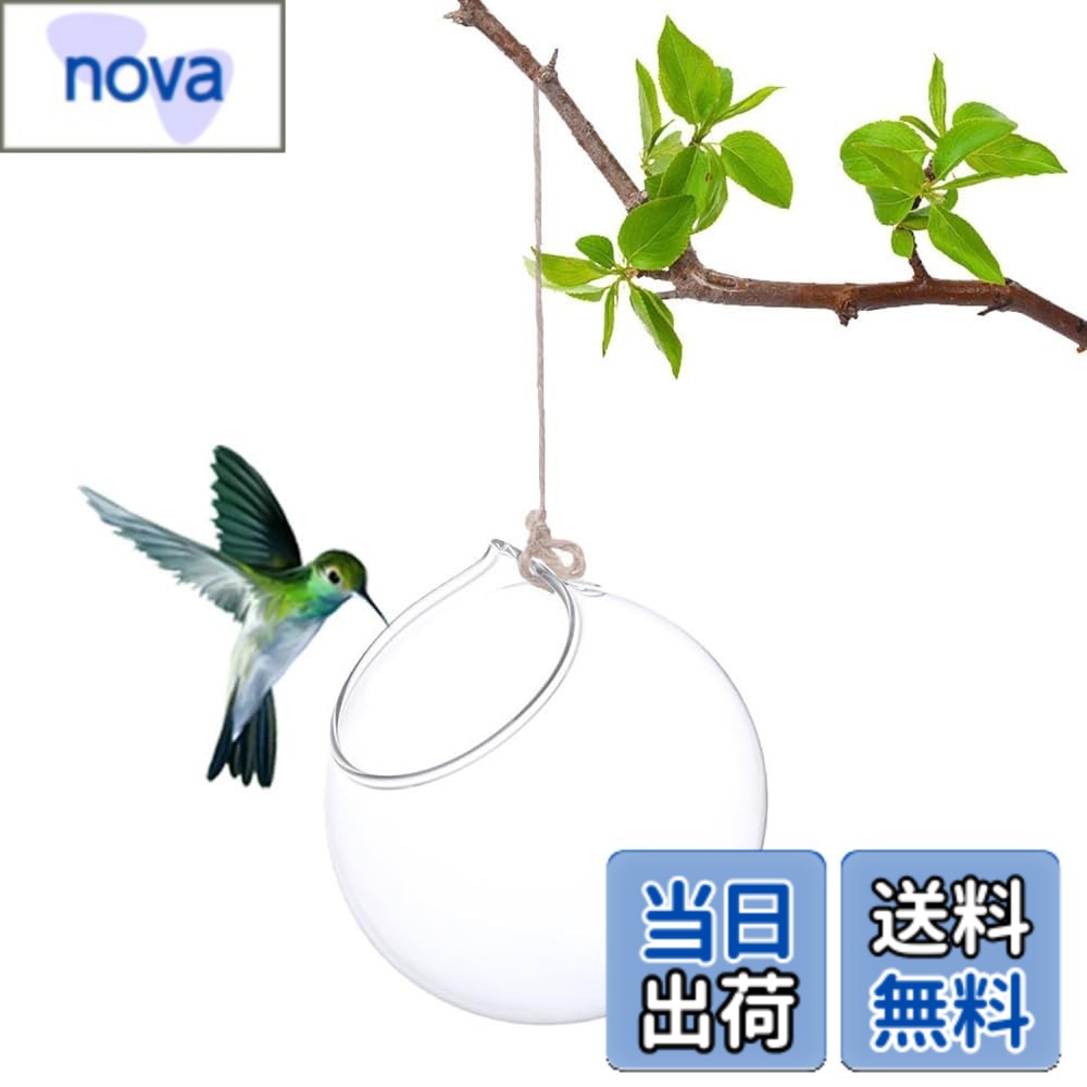乐天商城 - 【送料無料】吊り下げ式透明ガラス花瓶 水耕栽培用ガラスボトル 吊り下げボトル 吊り下げ式水槽 ホームガーデンデコレーション (10cm)