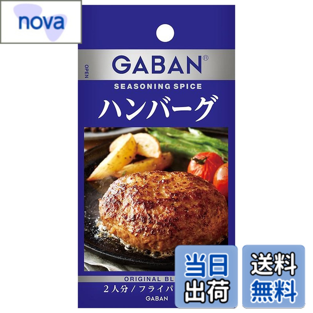 GABANシーズニング GABAN(ギャバン) シーズニング ハウス シーズニング ハンバーグ 6.5gx10個