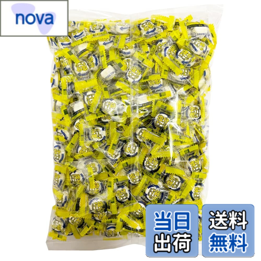 【送料無料】カバヤ 塩分チャージタブレッツ 塩レモン味 1kg（約333粒）ビッグシェアパック 大容量 小袋 個包装 業務用 大袋 塩分補給 塩タブレット 塩分タブレット 塩飴 ブドウ糖
