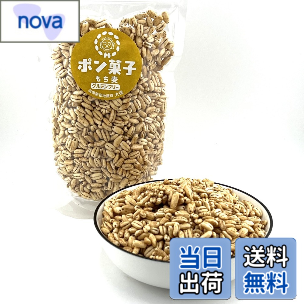 【送料無料】【もち麦 1個】ポン菓子 おやつ グルテンフリー お菓子 麦菓子 (もち麦) 60g x1袋 (60g) 自然豊かで水がきれいな大分県玖珠産のもち麦を使用 麦の香ばしい風味と、もちむぎ独特のモチッとした食感がクセに 塩はミネラルが豊富な宮古島の塩 7大アレルゲン未