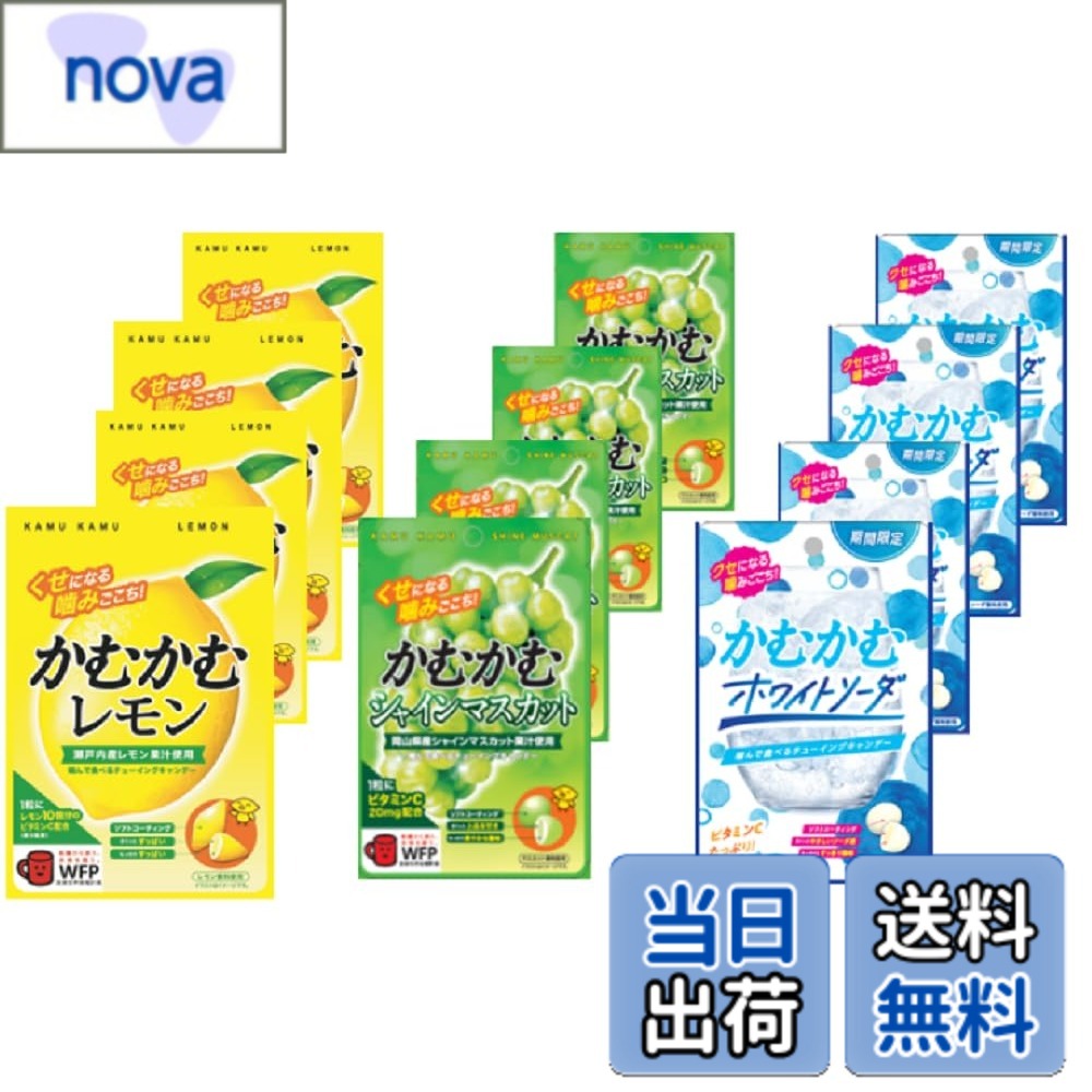 商品情報 商品の説明 商品紹介 発売から20年を超える噛んで食べるチューイングキャンデー。3層構造による独自のクセになる噛みごこちが特徴の商品です。味わいの違いをお楽しみください。 原材料・成分 【レモン：砂糖（国内製造）、水あめ、植物油脂、ゼラチン、加糖練乳、レモン果汁／ビタミンc、乳化剤、ソルビトール、増粘多糖類、酸味料、香料、紅花色素、光沢剤、（一部に乳成分・大豆・ゼラチンを含む）】【シャインマスカット：砂糖（国内製造）、水あめ、フォンダン（砂糖、水あめ）、食用油脂、ゼラチン、加糖練乳、マスカット果汁／乳化剤、ビタミンC、酸味料、ソルビトール、増粘多糖類、香料、着色料（フラボノイド、クチナシ）、光沢剤、（一部に乳成分・大豆・ゼラチンを含む）】【ホワイトソーダ：砂糖（国内製造）、水あめ、フォンダン（砂糖、水あめ）、食用油脂、ヨーグルトパウダー、加糖練乳、ゼラチン／ビタミンC、乳化剤、ソルビトール、酸味料、増粘多糖類、香料、光沢剤、紅花色素、（一部に乳成分・大豆・ゼラチンを含む）】 主な仕様 かむかむ30gを3種類（レモン・シャインマスカット・ホワイトソーダ）各4個入り。計12個入り。※時期によりセット内容に変更 # 【送料無料】かむかむ 袋3種アソートx4個（レモン・シャインマスカット・ホワイトソーダ）【セット買い】※時期により内容に変更 噛んで楽しむことができるチューイングキャンデー、「かむかむ」をご紹介します。毎日の生活の中で口寂しさを感じる時、甘くて美味しいお菓子の出番です。しかし、気になるのは味のマンネリ化や体への影響。そんな悩みを持つ方にぴったりなのが、3種類の味を楽しめるこのアソートです。特にレモンの酸味、シャインマスカットの甘さ、ホワイトソーダの爽やかさは、どんなシーンでも大活躍。食べることで得られる小さな喜びが、今日の疲れを癒してくれます。ぜひこの機会に、あなたのお気に入りの味を見つけてみてください。 ## かむかむの魅力とは？ 「かむかむ」は、発売から20年以上にわたり多くの人々に愛されているチューイングキャンデーです。その特徴は、独自の3層構造による噛みごこち。初めて食べる時は、その食感の違いに驚くことでしょう。そして、舌の上で広がる豊かな風味は、噛むたびに新たな発見があります。特に、レモン、シャインマスカット、ホワイトソーダの3種類は、全く異なる味わいで、飽きが来ないのがポイントです。 それぞれの味には、特別な材料が使われています。レモンは、爽やかさとともにビタミンCも含まれており、爽快感を楽しめます。シャインマスカットは、甘さと酸味のバランスが絶妙です。そしてホワイトソーダは、さっぱりとした飲み物のような味わいで、気分転換に最適です。食べるシーンもさまざまで、仕事中の気分転換や、友人とのおしゃべりなお供、お子様のおやつにもぴったりです。 さらに、このアソートパックは、個別に包まれているため、持ち運びも便利。外出先や旅行の際にも気軽に持って行けます。あなたの生活シーンにプラスアルファのおいしさを提供する、是非ともお試ししてほしい商品です。 ## 選べる3つのフレーバー 「かむかむ」の最大の魅力は、3つの異なるフレーバーです。それぞれの特徴を見ていきましょう。まずは「レモン」。この味は、酸味と甘味のバランスが絶妙で、爽やかな味わいが楽しめます。特に、暑い日に食べると、ひんやりとした清涼感があり、リフレッシュさせてくれることでしょう。ビタミンCを含んでいるため、風味だけでなく嬉しい栄養も摂れるのがポイントです。 次に「シャインマスカット」。このフレーバーは、果実の甘さがギュッと詰まっており、一口食べるたびに宇宙の果実果汁の豊かさを感じさせてくれます。果物本来の甘さが楽しめるため、甘いものが好きな方に特におすすめです。美味しさに加えて、果物の持つ栄養素も感じられるので、健康志向の方にも支持されています。 最後に「ホワイトソーダ」。こちらは、飲み物感覚で楽しめるさっぱりとした味わいが特徴です。ヨーグルトパウダーが含まれており、酸味がアクセントとなっています。食後の口直しや、疲れた時のリフレッシュにも最適です。甘すぎず、さっぱりとした軽い食感が、リラックスを促してくれます。これら3つの味が楽しめるからこそ、日々の生活に彩りを添える存在となっています。 ## 使用に関する注意点とディスプレイ方法 「かむかむ」を楽しむ際には、いくつか注意点があります。まず、食べ過ぎには注意が必要です。美味しいあまりついつい手が伸びてしまいますが、適量を守ることが大切です。また、口の中で噛んでいるときに、のどに詰まらせないように気をつけてください。お子様に与える際は、特に注意しましょう。年齢に応じて適切な量を調整してあげてください。 さらに、保存方法にも気をつけましょう。開封後はなるべく早めに食べることをおすすめします。湿気や直射日光を避けることで、長持ちさせることができます。美味しさを保つためには、冷暗所での保管が効果的です。 ディスプレイ方法については、カラフルで見た目も楽しめるため、ちょっとしたパーティーや集まりの際に、大皿に盛り付けて提供すると良いでしょう。この魅力的な見た目は、参加者の興味を引き、会話のきっかけにもなります。シェアすることで、皆で楽しむことができるのも「かむかむ」の良さです。 ## さいごに 「かむかむ 袋3種アソート」は、レモン、シャインマスカット、ホワイトソーダの魅力的な3つのフレーバーを一度に楽しめる商品です。甘さと酸味のバランスがとれた味わいが、様々なシーンで活躍します。 - 3種類の異なる風味が楽しめる。 - ビタミンCや果物の栄養素を摂取できる。 - 口寂しい時や友人とのおしゃべりに最適。 - 適量を守ることで安心して楽しめる。 - 冷暗所での保管で美味しさをキープ。 これからも、多くの方々に愛され続ける商品として、あなたの日々に小さな幸せをお届けできればと考えています。是非、実際にお試しいただき、ご自身の舌でその魅力を確かめてみてください。