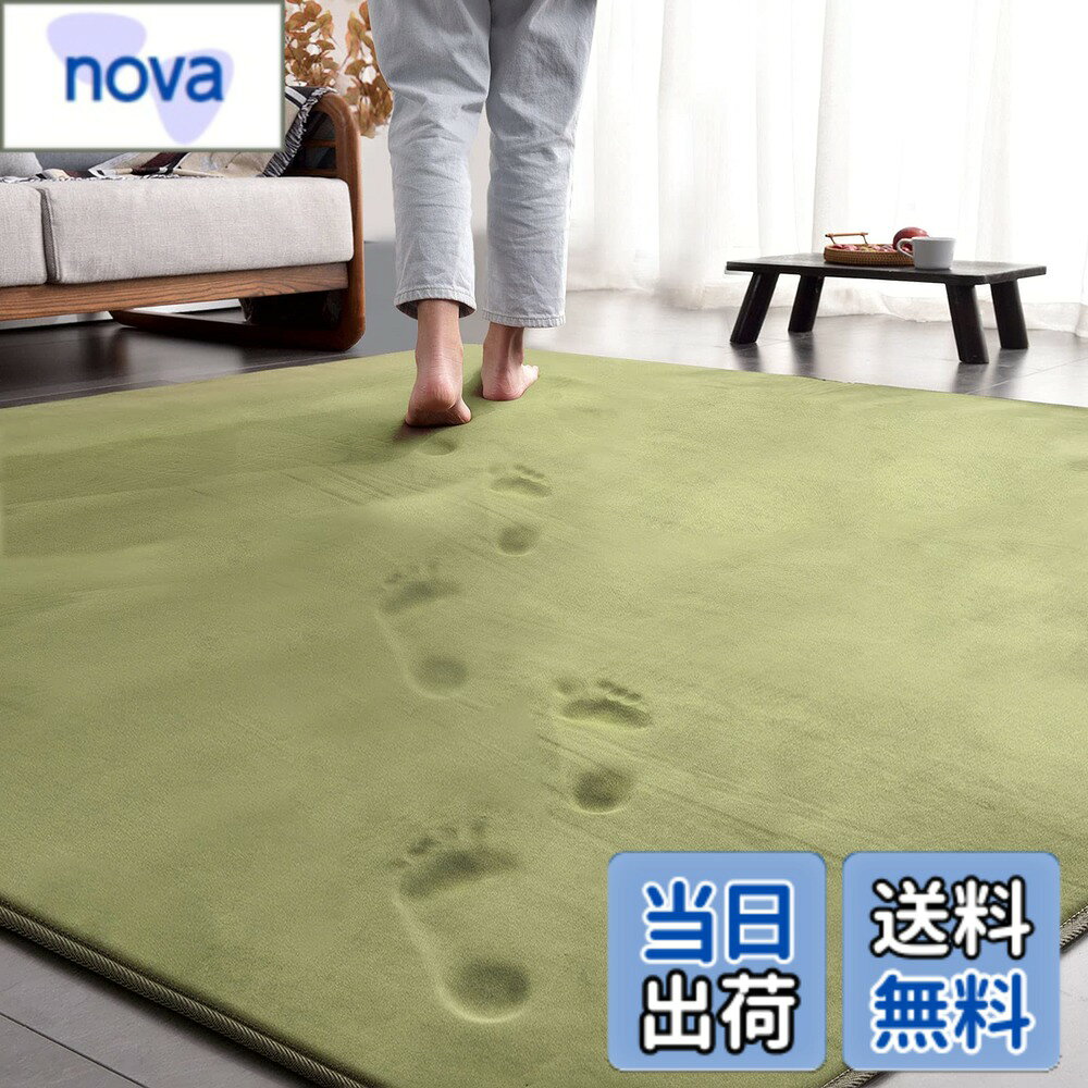 【送料無料】ラグ カーペット 低反発 ラグマット 3畳 厚手15mm 190x240cm 滑り止め付 洗える 防音 床暖房 ホットカーペット対応 防ダニ 抗菌 フランネル ウレタン 厚い じゅうたん 無地・グリーン AICOMRI