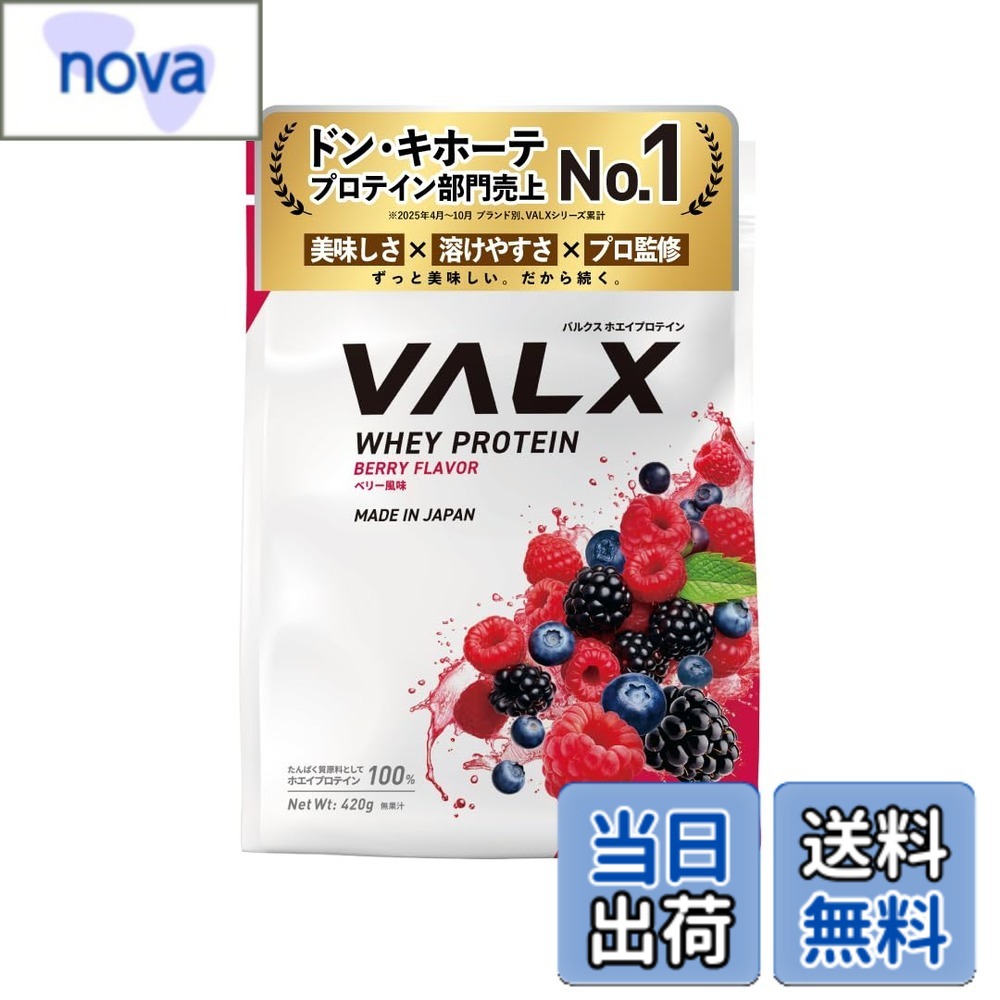 【送料無料】VALX バルクス ホエイ プロテイン 420g ベリー 風味 ホエイプロテイン WPC お試し 少量 ダイエット 山本義徳 監修 国内製造