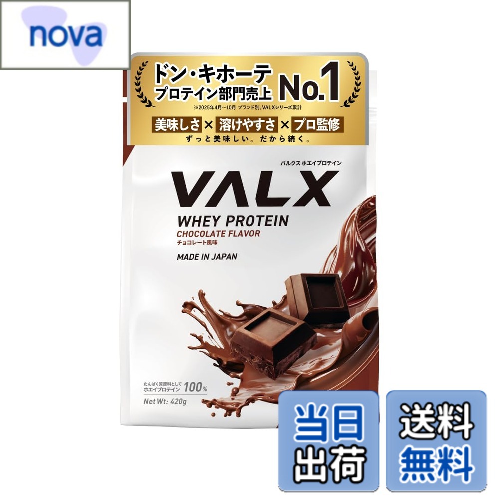【送料無料】VALX バルクス ホエイ プロテイン 420g チョコレート 風味 ホエイプロテイン WPC お試し 少量 ダイエット 山本義徳 監修 国内製造