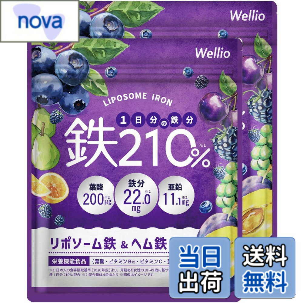 【送料無料】【高吸収x持続型のW 鉄分 】 1日分の鉄分210% サプリメント ヘム鉄 葉酸 亜鉛 マルチビタミン 葉酸サプリ 亜鉛サプリ ビタミンサプリ 鉄 てつ 妊活 Wellio ウェリオ (2袋)