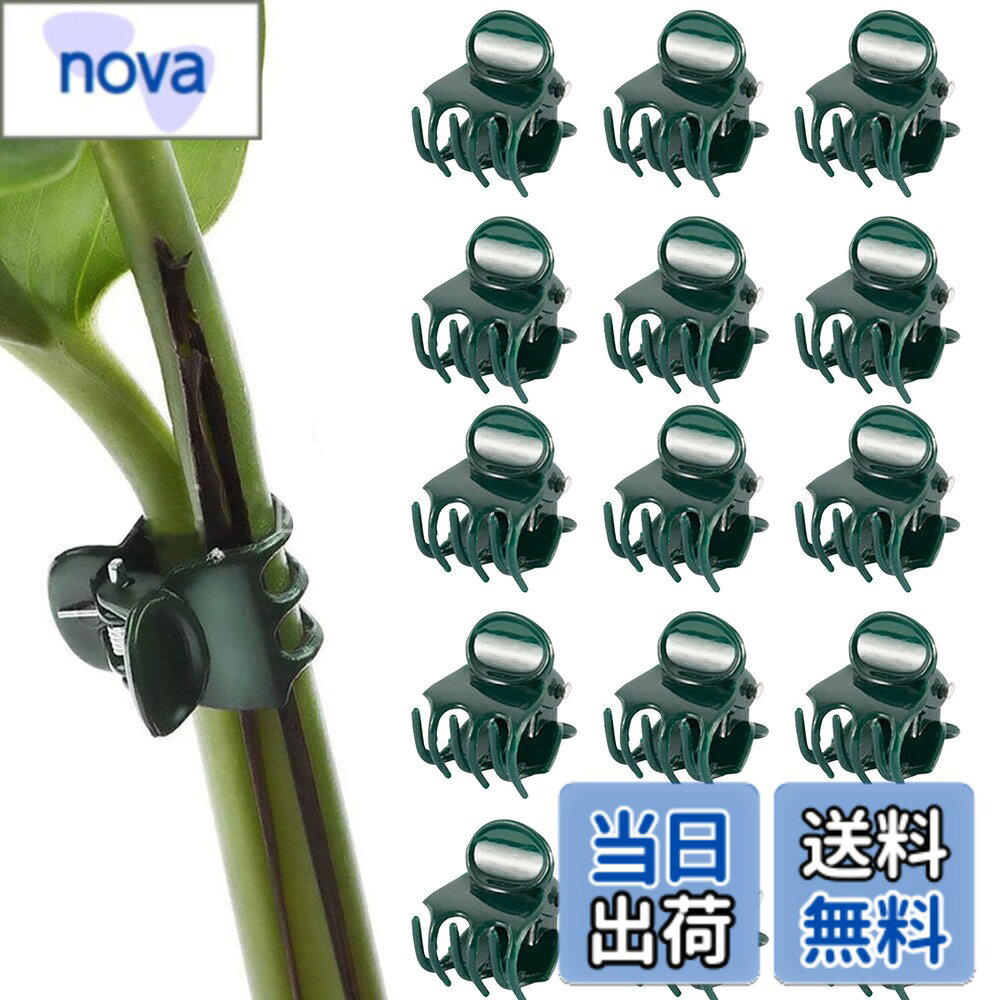 【送料無料】PAVIKE 洋蘭 植物用クリップ 50個入り 植物支柱クリップ 園芸クリップ...