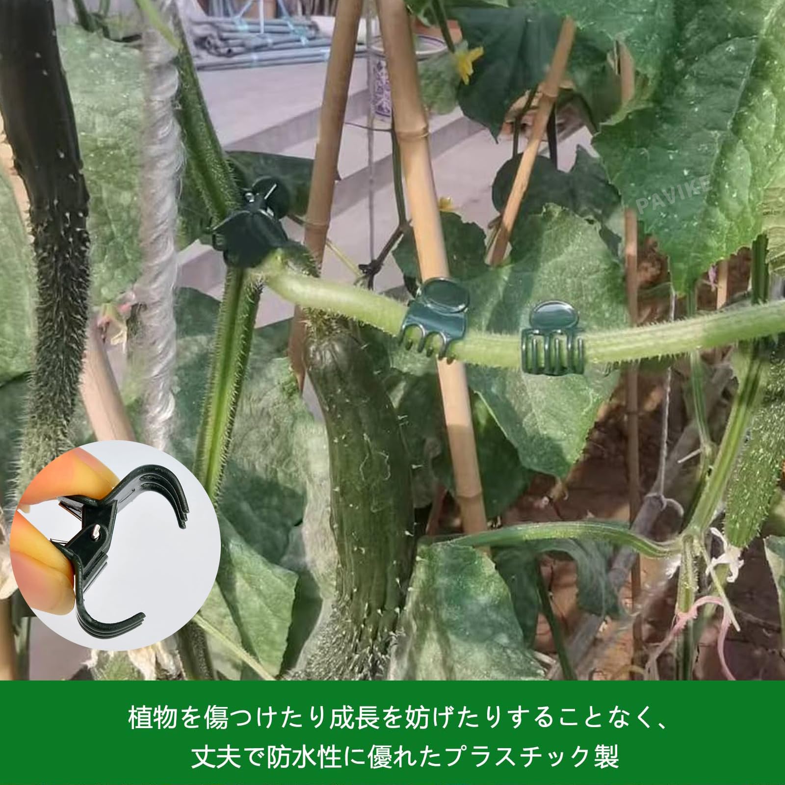 【送料無料】PAVIKE 洋蘭 植物用クリップ 50個入り 植物支柱クリップ 園芸クリップ...
