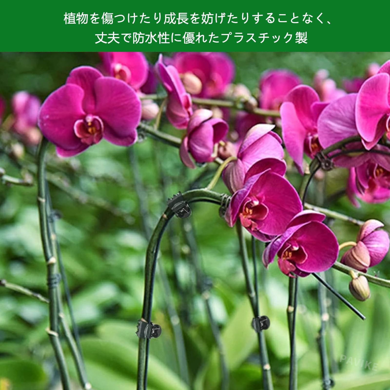 【送料無料】PAVIKE 洋蘭 植物用クリップ 50個入り 植物支柱クリップ 園芸クリップ...