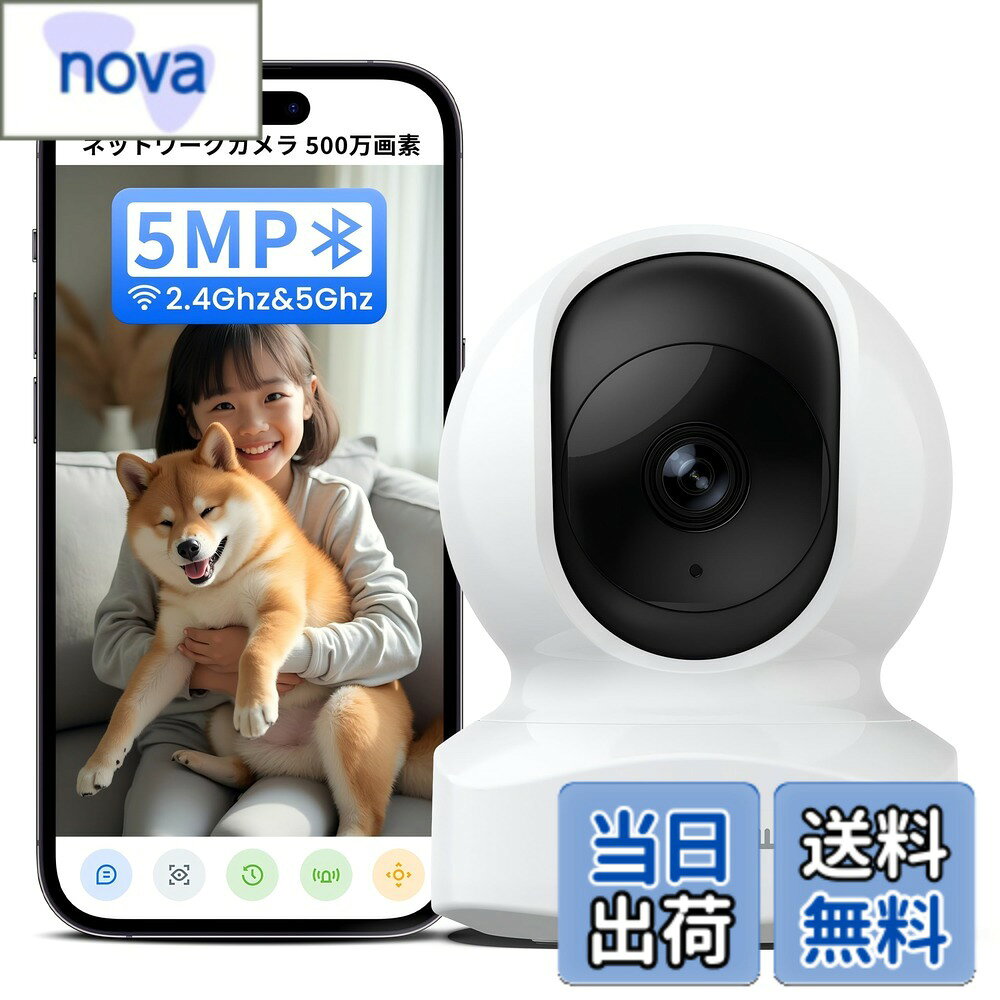 【送料無料】Wansview 色：5MP白・常時録画、サイズ：A.見守りカメラ