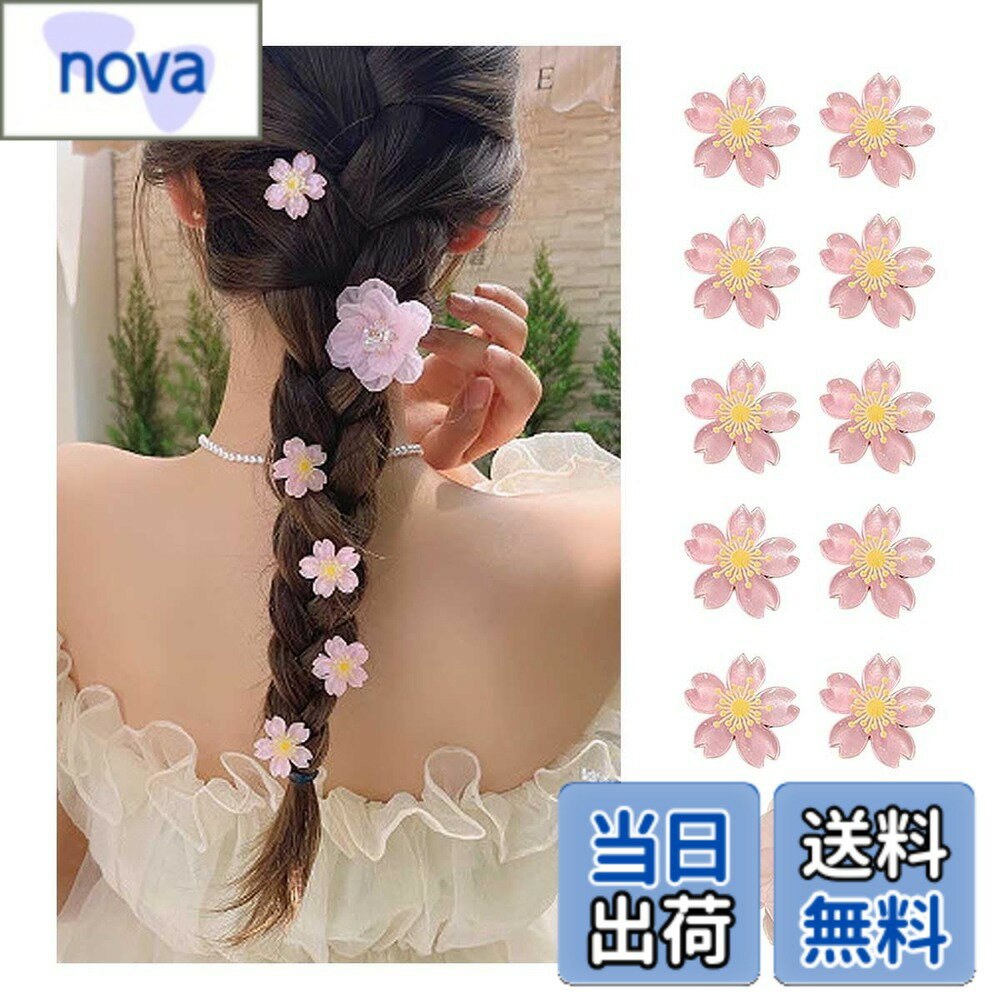 【送料無料】ヘアクリップ ミニ 組み合わせパック 色：桜＋椿