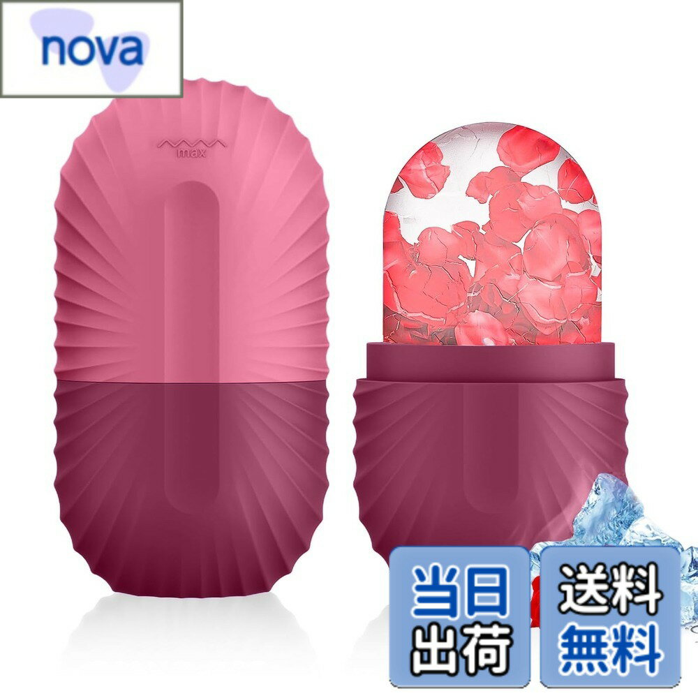 Foot Controller - 【送料無料】aninako アイスフェイスローラー 黒 顔用 アイスローラー 美顔ローラー 顔用冷却アイススティック 腫れ解消 肌を引き締め 多機能 小顔ローラー 再利用可能 使いやすい 漏れ防止 ポータブル 顔 目 首 肌 氷マッサージ アイスバッグ 人気 男 色：ローズレッド