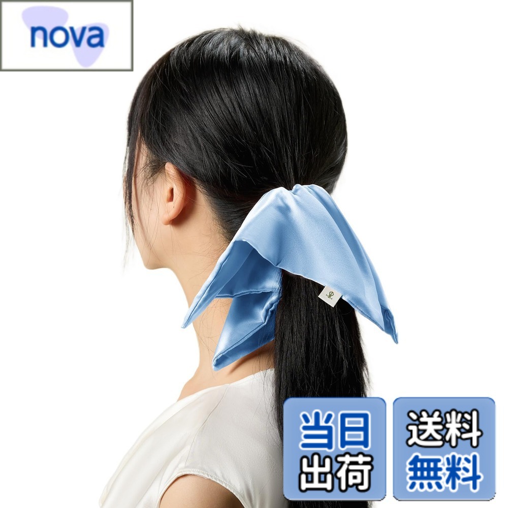 Hair Rubber Band - 【送料無料】LILYSILK シルク シュシュ ヘアゴム かわいい 大きい レディース 女性 大人 かざぐるま 髪ゴム おしゃれ 天然シルク100% 6Aクラス ヘアアクセサリー 髪飾り 静電気防止 髪に優しい プレゼント ギフト 色：アイスブルー、サイズ：大きい