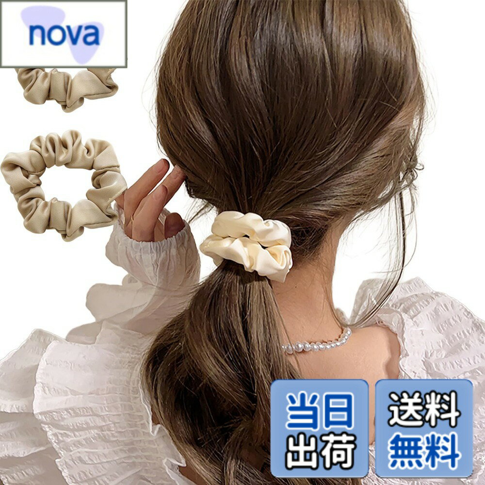 Hair Rubber Band - 【送料無料】大人可愛い サテンシュシュ 2本セット レディース ヘアゴム ニュアンスカラー 11色展開 髪飾り 無地 くすみカラー 通勤 通学 普段使い fq004 色：ベージュ*2、サイズ：フリーサイズ