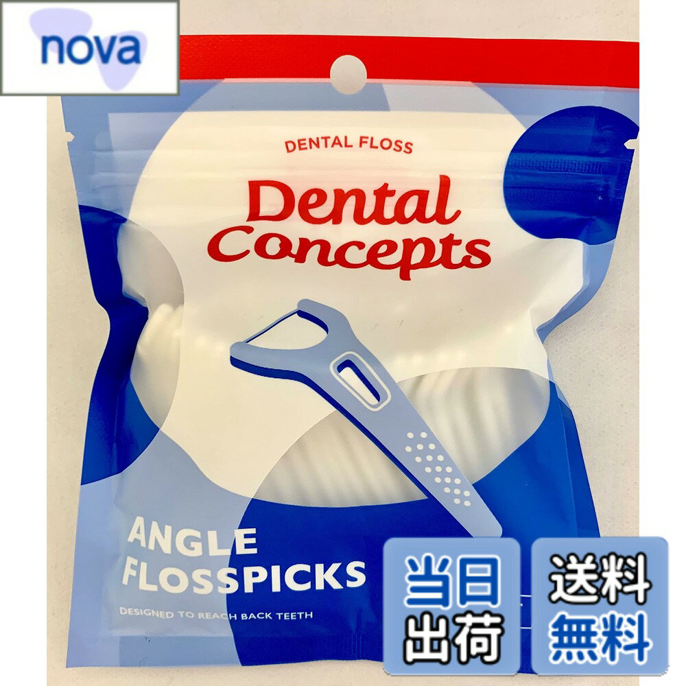 【送料無料】デンタルコンセプト アングル フロスピックス 36本入り サイズ：36本入り