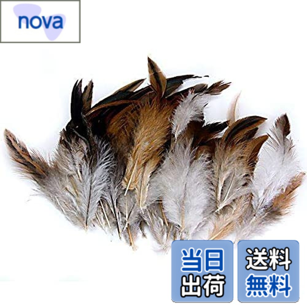 商品情報 商品の説明 主な仕様 【高品質素材】品質を確保するために自然に脱落してから収穫されます。 彼らの生地は柔らかくふわふわで、あらゆるプロジェクトやアレンジメントに優雅さと自然の美しさを加えます。【仕様】羽根の長さ: 10-15cm (4-6インチ) パッケージ内容: クラフト羽根100枚。【羽根】 無毒で味がなく、自然で環境に優しく、手触りが柔らかく、羽毛は簡単に落ちません。大人と子供向けの画材、コラージュ、文房具、デザインの凝った服、衣装、帽子、マスク、カードに羽を使用します。【使用方法】これらの羽根は軽量で簡単に取り付けることができ、初心者にも適しています。クラフト用の接着剤やホットグルーなど適切な接着剤を使用して羽根を固定してください。【幅広い用途】ジュエリー作り、帽子の装飾、夢追い、衣類のデザイン、フラワーアレンジメント、家の装飾に使用できます。 DIY愛好家やアーティストに最適です。 # 【送料無料】ノーブランド品 100PCS DIY 手芸用 羽毛 鶏羽 装飾用羽根 フェザー オンドリの羽 工芸品 サイズ：ワンサイズ 手芸やDIYを楽しむ皆さまに、特にご好評いただいているのがこのノーブランド品の100PCS DIY手芸用羽毛です。手芸用の材料を選ぶ際、大切なのは質感と使いやすさ。しかし、いざ選ぼうとすると、どれが本当に良いものか悩んでしまいますよね。そこで、この羽毛をおすすめします。本製品は、品質にこだわり、やわらかく、取り扱いやすい仕上がりになっています。これにより、あなたの手作りプロジェクトに自然の美しさを添えてくれることでしょう。さらに、この羽毛は無毒で環境に優しいため、大人から子供まで安心してご使用いただけます。特に、色々なプロジェクトに使えるのが嬉しいポイント。魅力的なディスプレイや作品作りに、ぜひご活用ください。 ## 高品質な素材で安心・安全 当商品に使用されている羽毛は、自然に脱落したものを収穫し、丁寧に選別しているため、品質が高いのが特徴です。自然由来の素材を使用しているため、無毒で安全です。お子様やペットがいる家庭でも安心して使用できます。羽毛の長さはおおよそ10〜15cmで、様々な用途に適しています。このサイズ感は、手作りのアクセサリーや衣装にピッタリで、デザインの幅を広げてくれます。おしゃれなコスチュームや小物づくりにも活用でき、多様なクリエイティブワークに役立ちます。 また、羽毛の質はふわふわとした手触りで、柔らかい仕上がりです。そのため、手作りの衣類や装飾品に使っても違和感がなく、思わず触れたくなるような魅力を持っています。自宅でのアート活動やDIYプロジェクトにも最適で、堅苦しくなく楽しむことができます。誕生日やイベントでのギフト作りにも、きっと喜ばれることでしょう。さらに、これらの羽毛は構造上、容易に取り扱えるため、初心者でも間違いなく使いこなせます。どなたでも気軽に取り入れられるのが、この商品最大の魅力です。 ## 幅広い用途でアイデアを広げる このノーブランドの羽毛は、その汎用性の高さも特筆すべき点です。例えば、ジュエリー作りやコスプレ衣装の材料、夢追いボードの装飾、さらにはフラワーアレンジメントなど、多様な分野で活躍することができます。羽根の設置は軽量なので、手作業でもストレスを感じることが少なく、モチベーションが上がることでしょう。あなたの創造力や技術を生かした、多彩なアイデアを実現できる手助けをしてくれるでしょう。また、ハンドメイド教室やワークショップの素材としても優れています。初めての方でも比較的簡単に作品を仕上げられるので、教室での活動を通じて楽しむことができます。 作品の仕上がりをもっと美しく見せるためのテクニックとしては、羽毛を異なる角度に配置することが挙げられます。例えば、上から下へと重ねることで、立体感を演出することができます。また、多様なカラーの羽毛を組み合わせることで、オリジナルなスタイルを楽しむことも可能です。このように、羽毛を使用することで、より個性的で心に残る作品が生まれること間違いなしです。ぜひあなたのアイデアを形にして、周りの人々を驚かせてみませんか？ ## 使いやすい接着手順と注意点 この羽毛を使ったプロジェクトはとても楽しいですが、うまく固定するための接着方法には注意が必要です。接着剤やホットグルーを使用する際は、少量を羽毛の根元に塗布し、しっかりと押さえることがポイントです。特に急いで貼り付けると、乾く前にずれてしまうことがありますので、一度貼り付けた後に位置調整は控えましょう。また、羽毛の繊維に無理に力を加えると、形が崩れたり折れたりする可能性があるため、取り扱いには優しく配慮してください。 さらに、使用後の保管にも工夫が必要です。湿気や直射日光を避け、通気の良い場所で保管すると良いでしょう。特に湿気が多いところでは、羽毛が傷んでしまうことがあります。次回使うときのために、しっかりとした保管を心掛けることが大切です。これらの点に注意することで、より長く羽毛を楽しむことができるでしょう。高品質な羽毛を使って、思い出に残る素敵な作品を作ってみてください。 ## まとめ - 高品質の羽毛で安全・安心 - 幅広い用途で多彩な作品作りが可能 - 簡単かつ楽しい接着方法 - 長く楽しむための正しい保管方法 - 初心者からプロまで満足できる素材 この【送料無料】ノーブランド品 100PCS DIY手芸用羽毛は、あなたの創造力を引き出す素敵なパートナーです。ぜひ、この機会に手に取ってみてください。