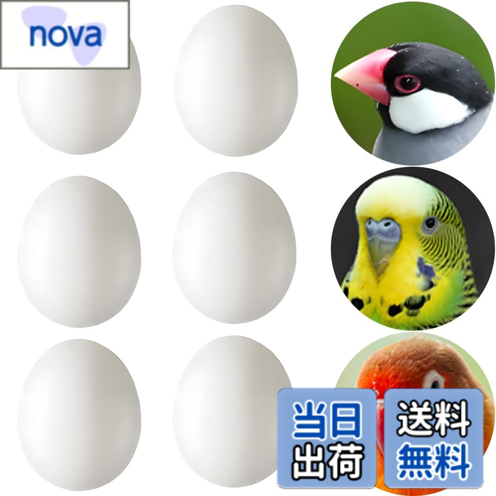 樂天商城 - 【送料無料】LYHMHAMY 偽卵 プラスチック卵 6個セッ 鳥おもちゃ インコ おもちゃ ト ダミー卵 セキセイインコ 小鳥 繁殖用品 にせ卵食品サンプル DIY 情景 建物 ガーデニング アクセサリー 色：白、サイズ：6個