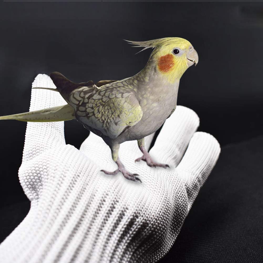 【送料無料】[Amybe] ペットグローブ 猫 犬 噛みつき防止 保護手袋1ペア 犬 猫 鳥 ...