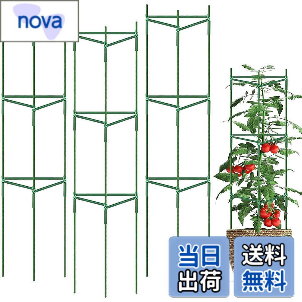 【送料無料】DIFEIUKI 植物支柱 三角形 園芸支柱 3セット トマト 植物成長 植物サ...
