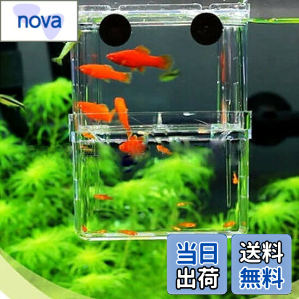 商品情報商品の説明材質：産卵ケースはアクリル製です。魚にとって安全な材料で作られた製品です。透明の特性は飼い主が魚をよく観察なることできます。 サイズ：約8x7x11cm。本物のサイズと想像できたものは少し異なる場合があります。ご確認すると購入してください。 魚類の産卵ボックスとして使用できます。稚魚が逃げ出すことも外から成魚が侵入することを防止ます。 スポイトは魚の沈殿したゴミや小さいな卵・稚魚の移動を用意するためにです。曲げるところをまっすぐにして、使用できます。稚魚を傷つけませんなので、ご安心してください。 魚インキュベータボックス、病気になった魚の隔離ボックス、治療ボックス、生餌飼育ボックとしても使用できます。稚魚の生存率を改善し、成魚からの攻撃を防ぐことができます。主な仕様 材質：産卵ケースはアクリル製です。魚にとって安全な材料で作られた製品です。透明の特性は飼い主が魚をよく観察なることできます。サイズ：約10.5x13.5cm。本物のサイズと想像できたものは少し異なる場合があります。ご確認すると購入してください。魚類の産卵ボックスとして使用できます。稚魚が逃げ出すことも外から成魚が侵入することを防止ます。スポイトは魚の沈殿したゴミや小さいな卵・稚魚の移動を用意するためにです。曲げるところをまっすぐにして、使用できます。稚魚を傷つけませんなので、ご安心してください。魚インキュベータボックス、病気になった魚の隔離ボックス、治療ボックス、生餌飼育ボックとしても使用できます。稚魚の生存率を改善し、成魚からの攻撃を防ぐことができます。