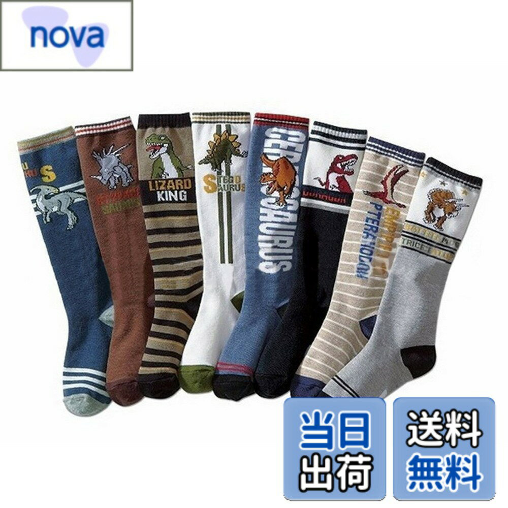 【送料無料】 コナミヤ 男の子名前が書けるのびのびハイソックス 8足組 サイズ15-19cm/19-23cm 色：恐竜 サイズ：19.0-23.0 cm