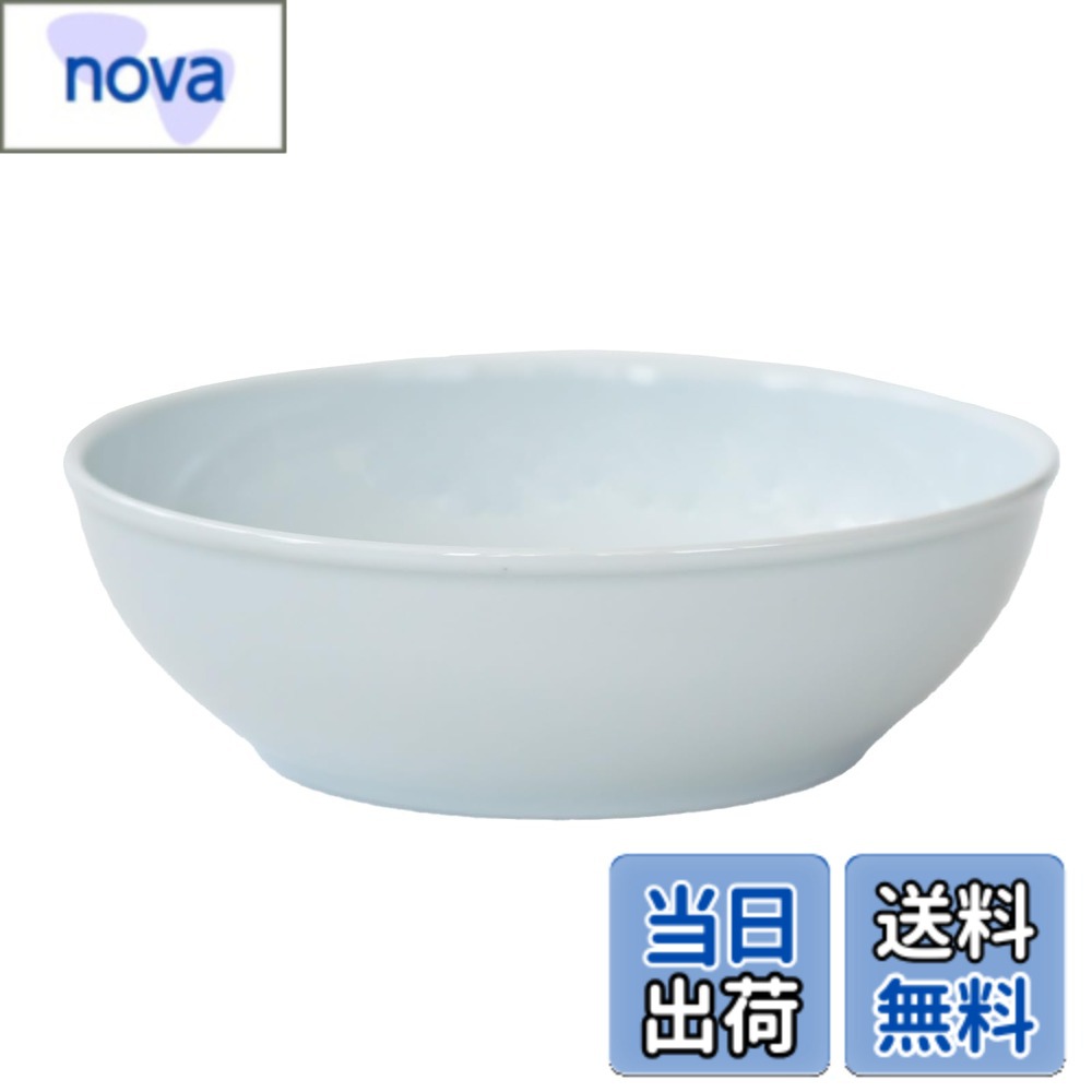 【送料無料】西海陶器 波佐見焼 common コモン ボウル 皿 電子レンジ 食洗器対応 日本製 色 ...
