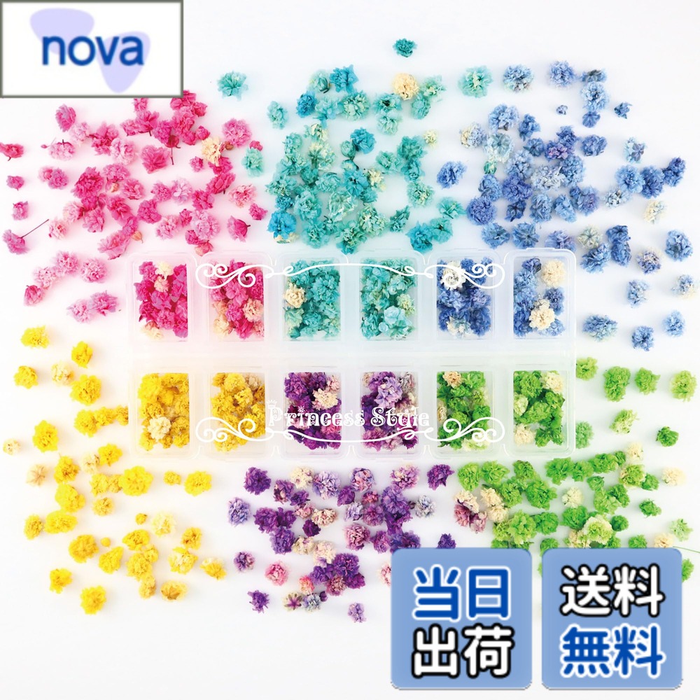 【送料無料】Princess-style かすみ草 ドライフラワー 花頭 咲いた花 ネイル レジン 封入 素材 材料 花材 12マスケース入り 6色セット 色：ピンク ブルー イエロー パープル グリーン、サイズ：スモール
