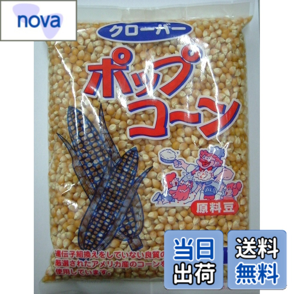 商品情報商品の説明商品紹介 食物繊維が豊富に入っていて、一人分40グラムで約35人分のポップコーンが楽しめます。家族団らんや野外のバーベキューでワイワイしながら楽しくポップコーンを作って楽しめます。コーンがポンポン勢いよくはじける音は子供も大人もわくわくです。! カレーやキャラメルなど味付けも自由自在にしめます。さあ、あなたもレッツポップトライ。 原材料・成分 ポップコーン主な仕様 内容量:1kgbr原材料:ポップコーン商品サイズ(幅x奥行x高さ):270x190x40mmbr遺伝子組換えをしていない良質の厳選されたアメリカ産のコーンを使用しています。栄養成分表示 100gあたり:350kcal、たんぱく質8.6g、脂質5.0g、炭水化物70.6g、ナトリウム0mg
